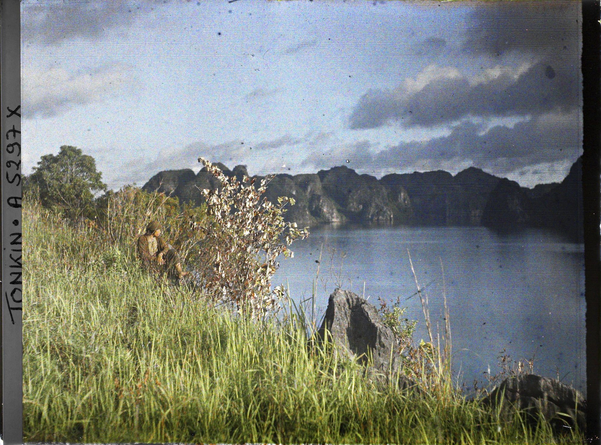 Image représentant Vue sur la baie, prise en haut d'un rocher