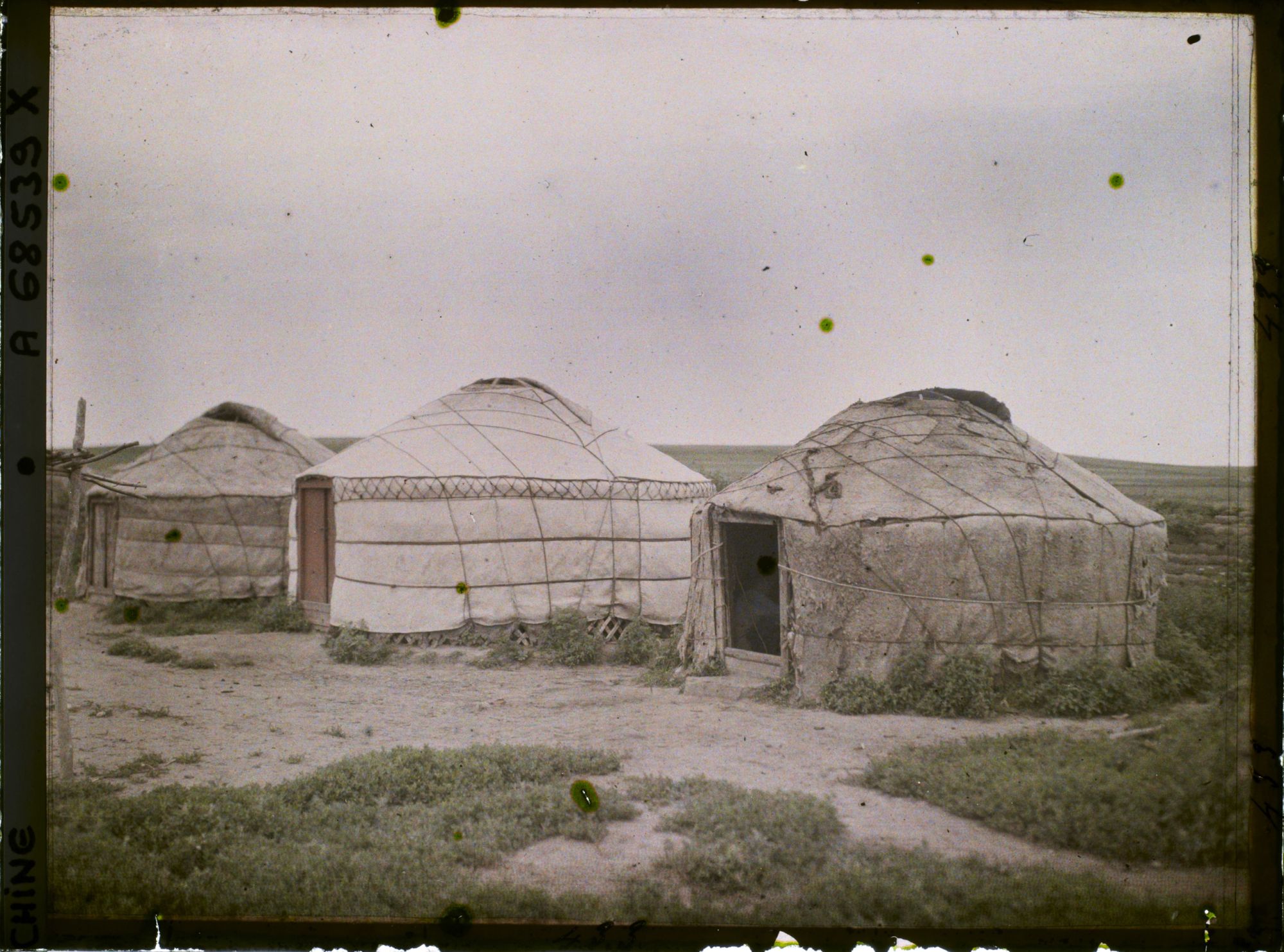 Image représentant Dans la steppe