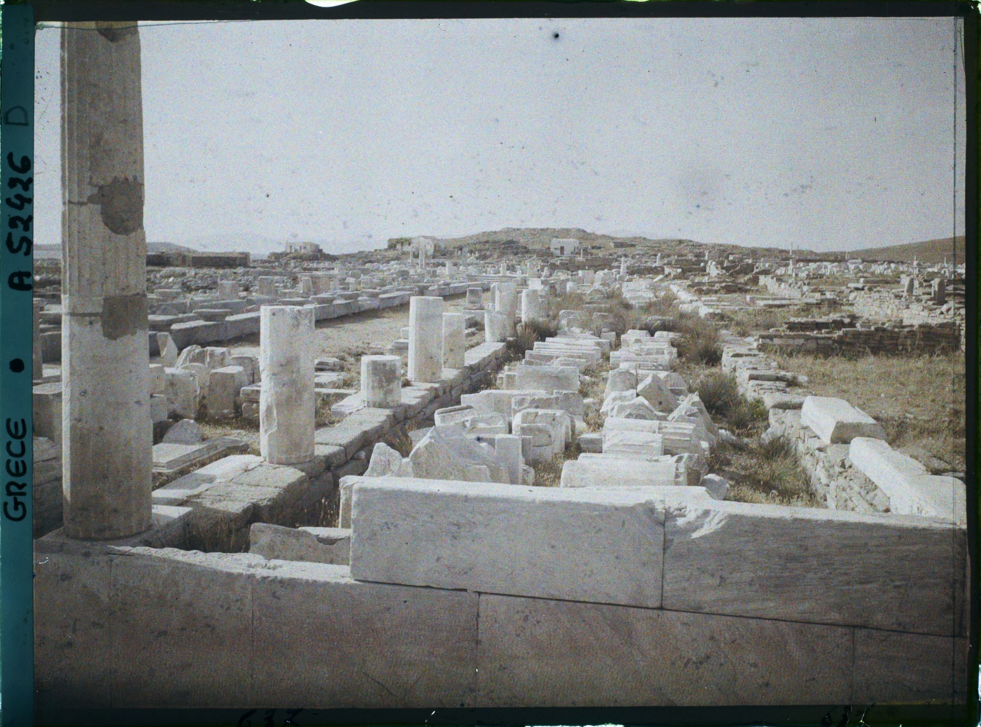 Image représentant Quartier du Hieron (sanctuaire) d'Apollon, l'avenue des Processions conduisant au Hieron (direction nord)