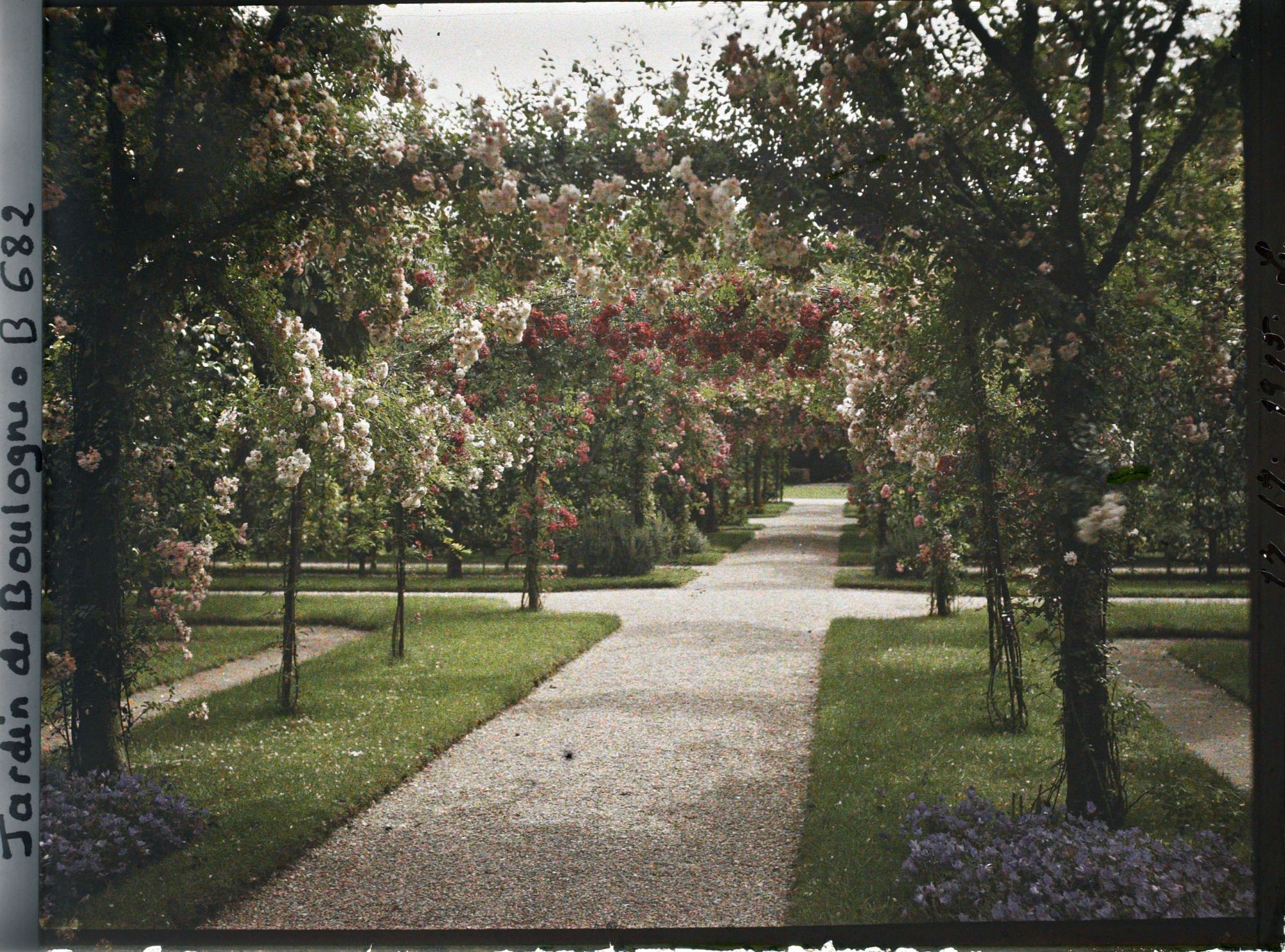 Image représentant Axe central du verger-roseraie vu en direction du jardin anglais, après le rond-point côté dépendance