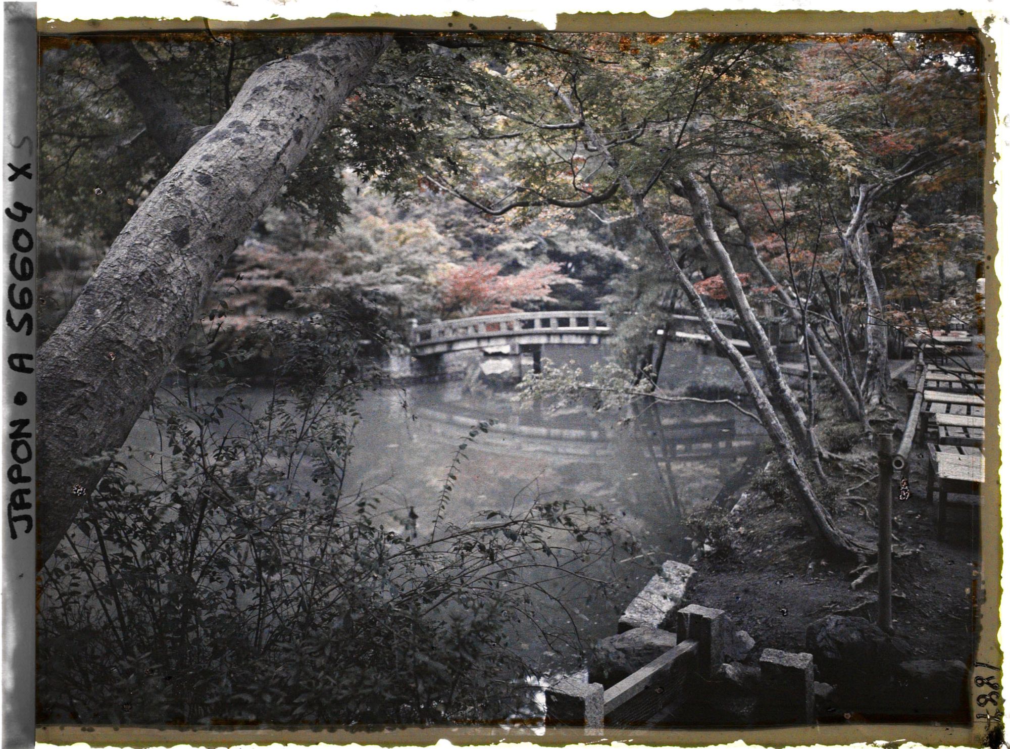 Image représentant Temple Eikan-dô Zenrin-ji : l'étang du Hôjô et le pont menant au sanctuaire shintô Benten-sha