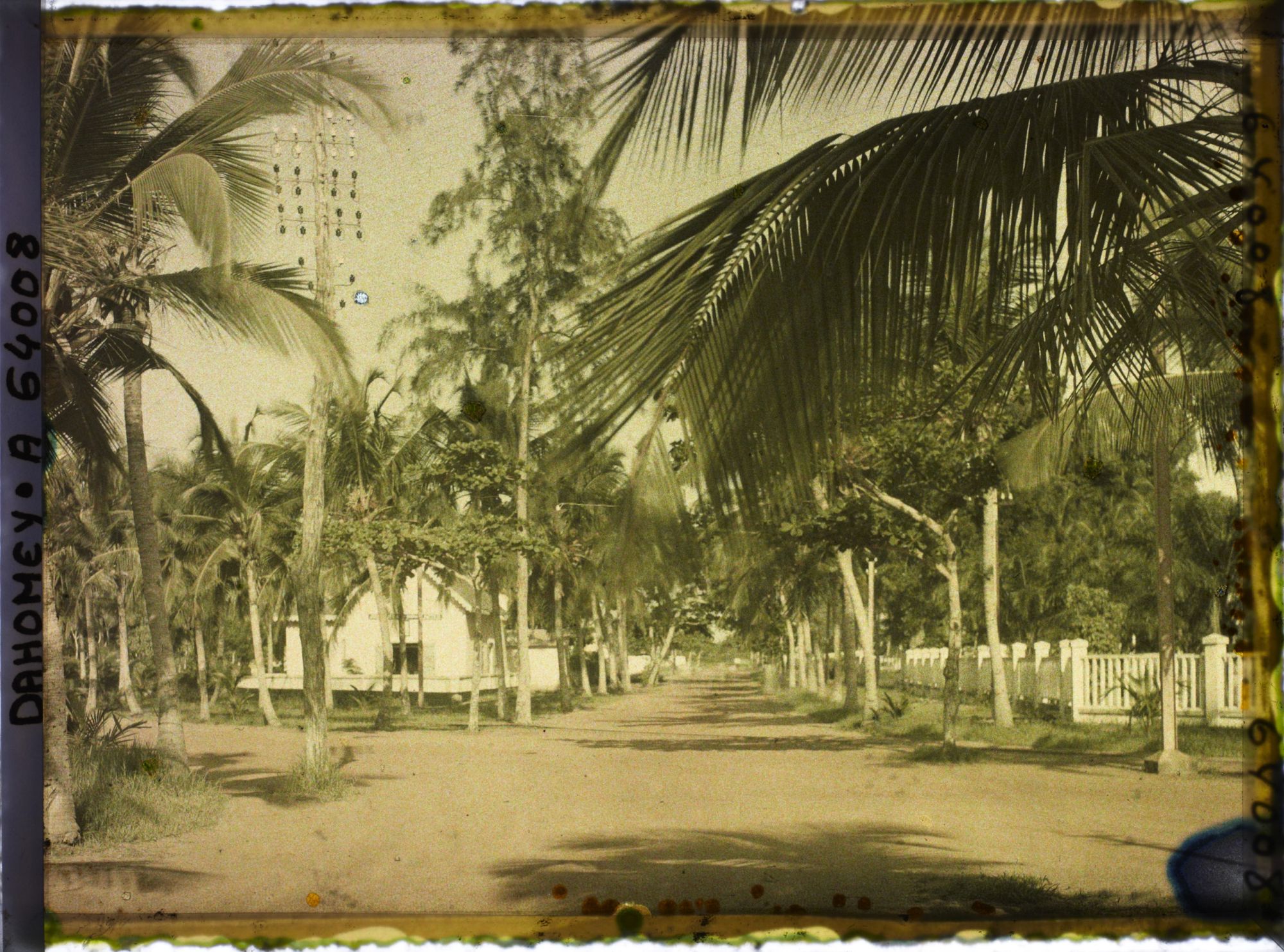 Image représentant Intersection d'avenues dans le quartier européen, présence de ligne télégraphique suspendue aux arbres
