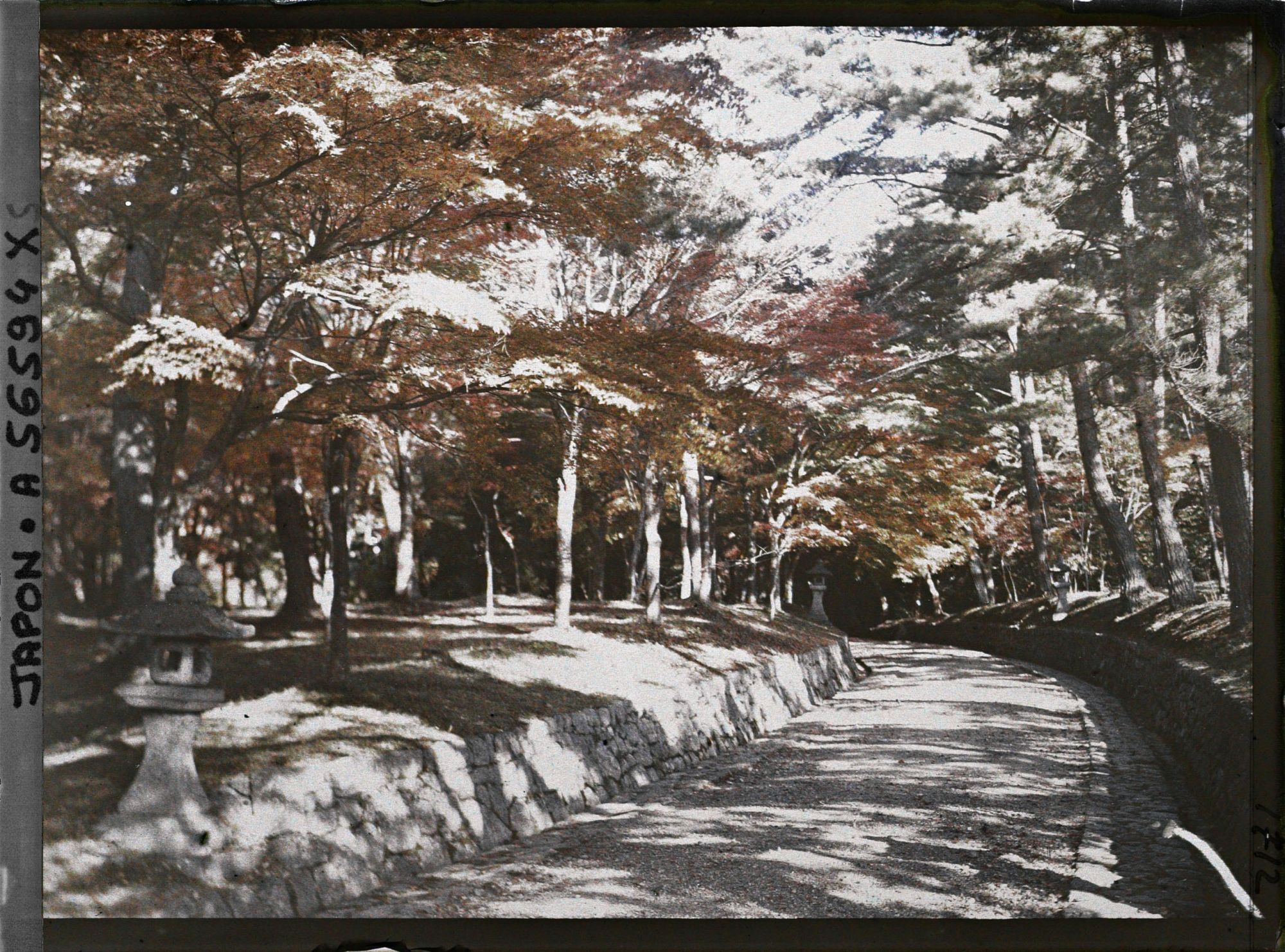 Image représentant Chemin menant au temple Sekizan Zen-in