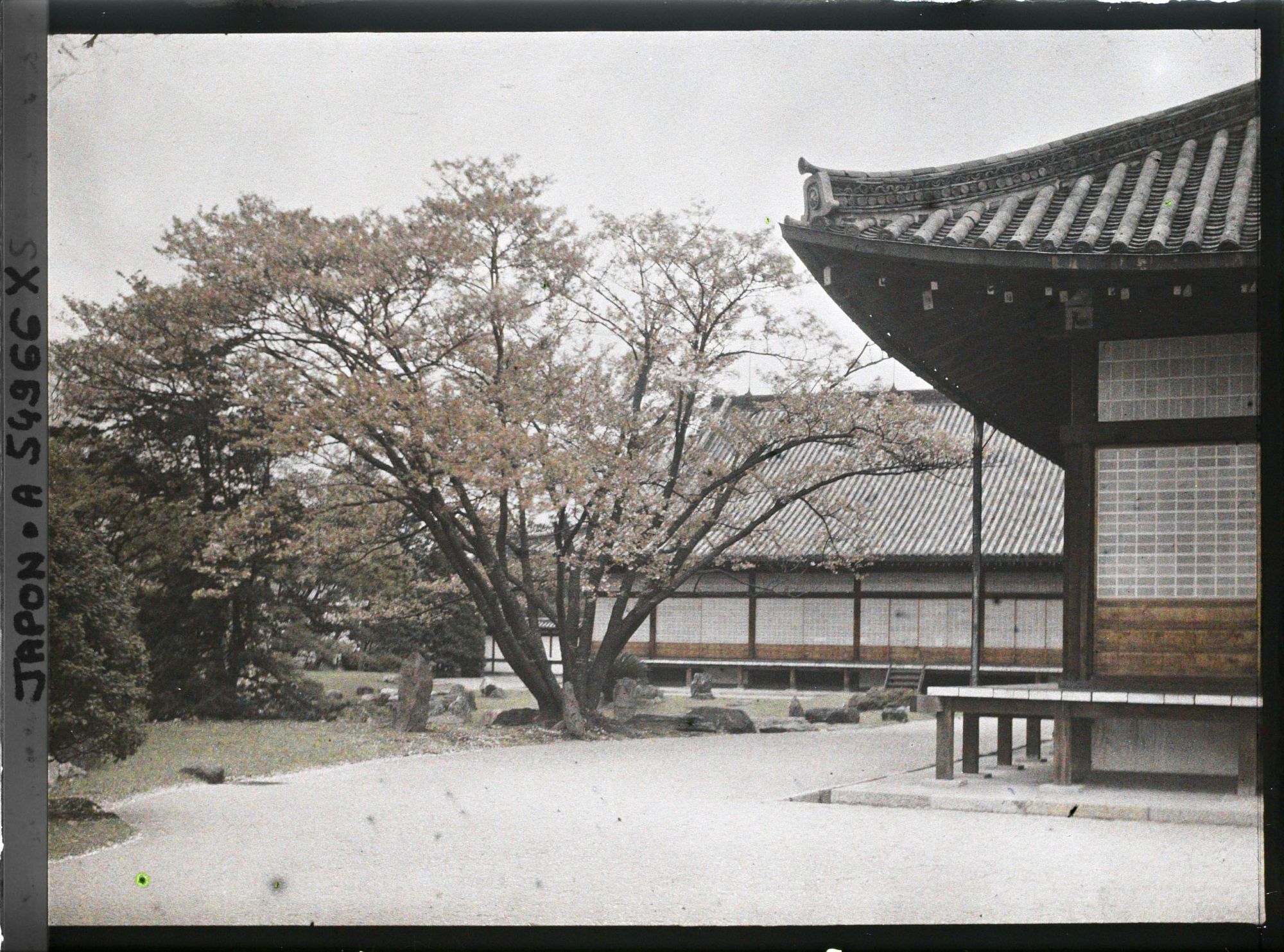 Image représentant Palais Nijô-jô : jardin du Ni-no-Maru