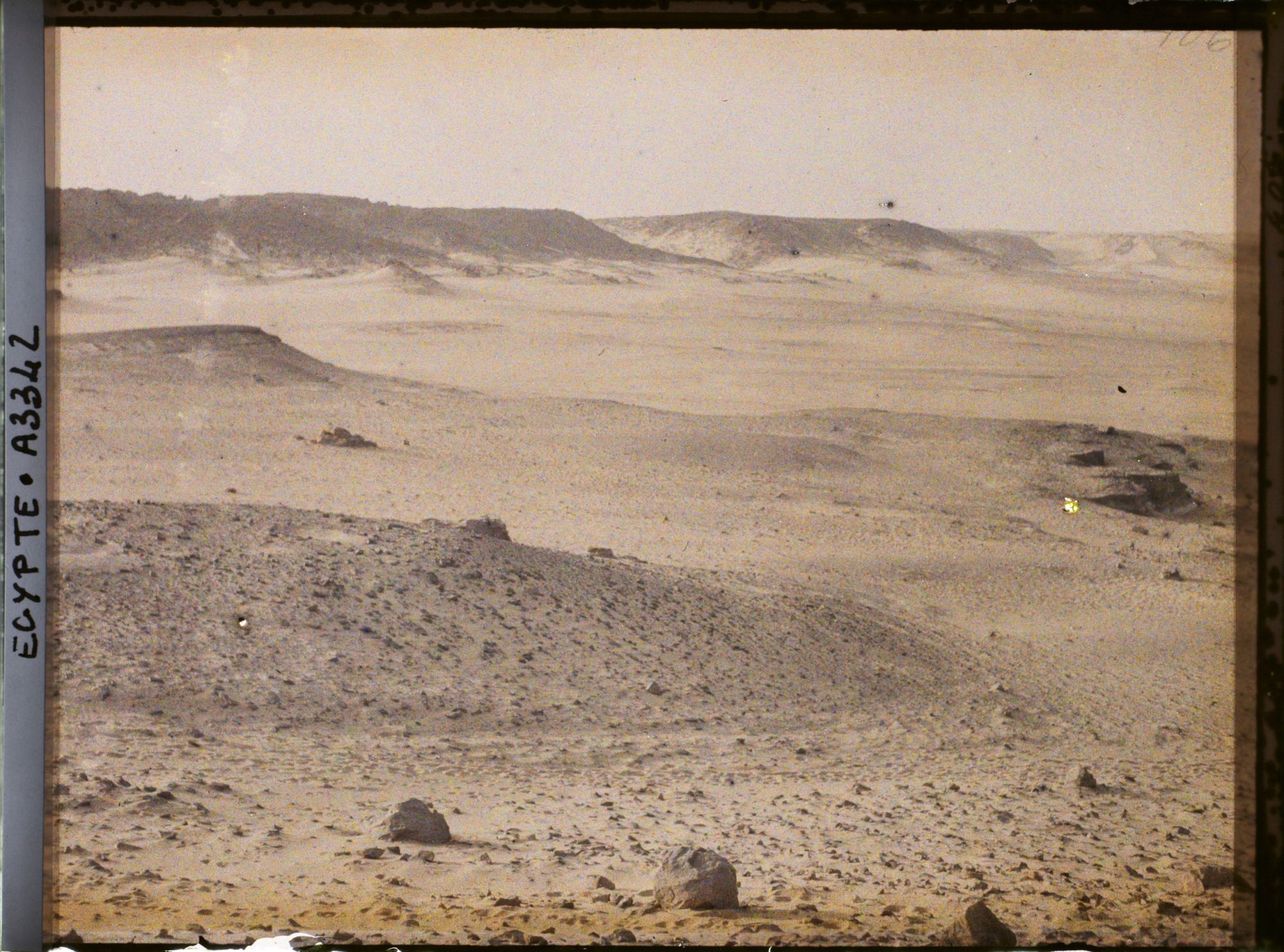 Image représentant Désert libyque égyptien