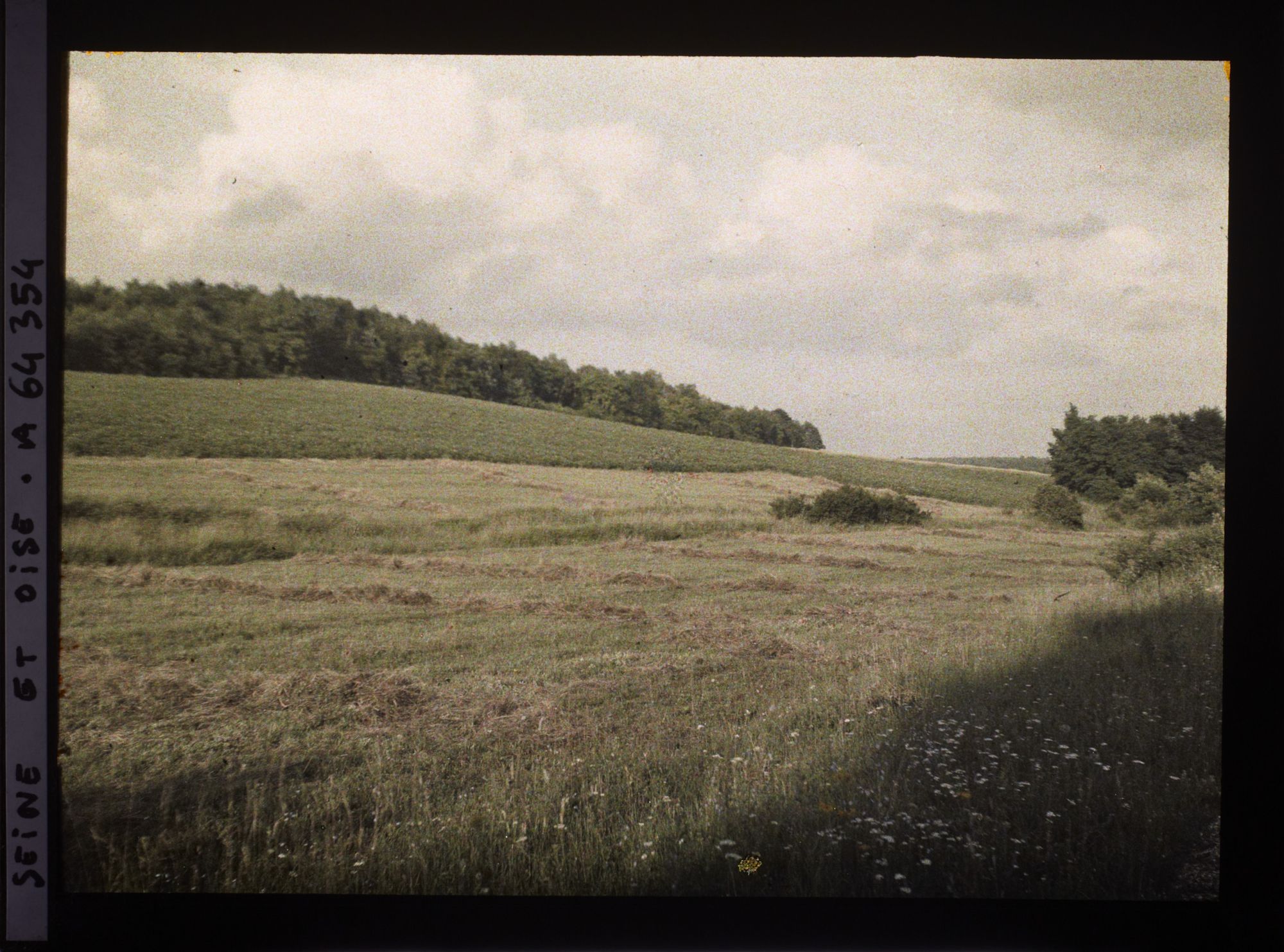 Image représentant Ile de France, Vallangoujard, Pente nord de la Vallée