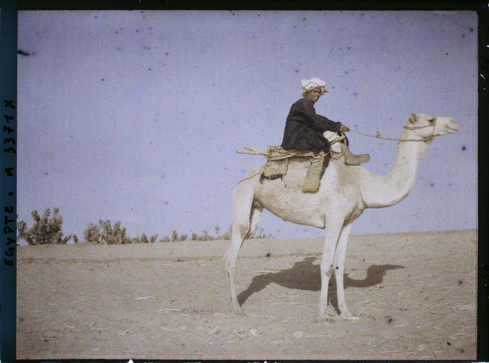 Image représentant Homme sur un chameau