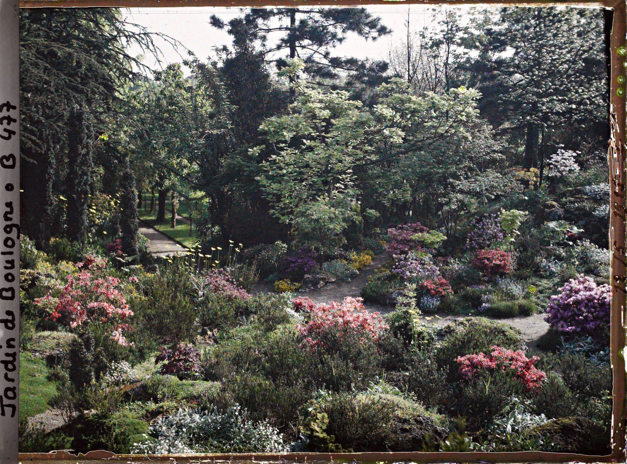 Image représentant Rocaille fleurie du " sanctuaire japonais " proche du sôrintô et chemin d'accès au verger-roseraie