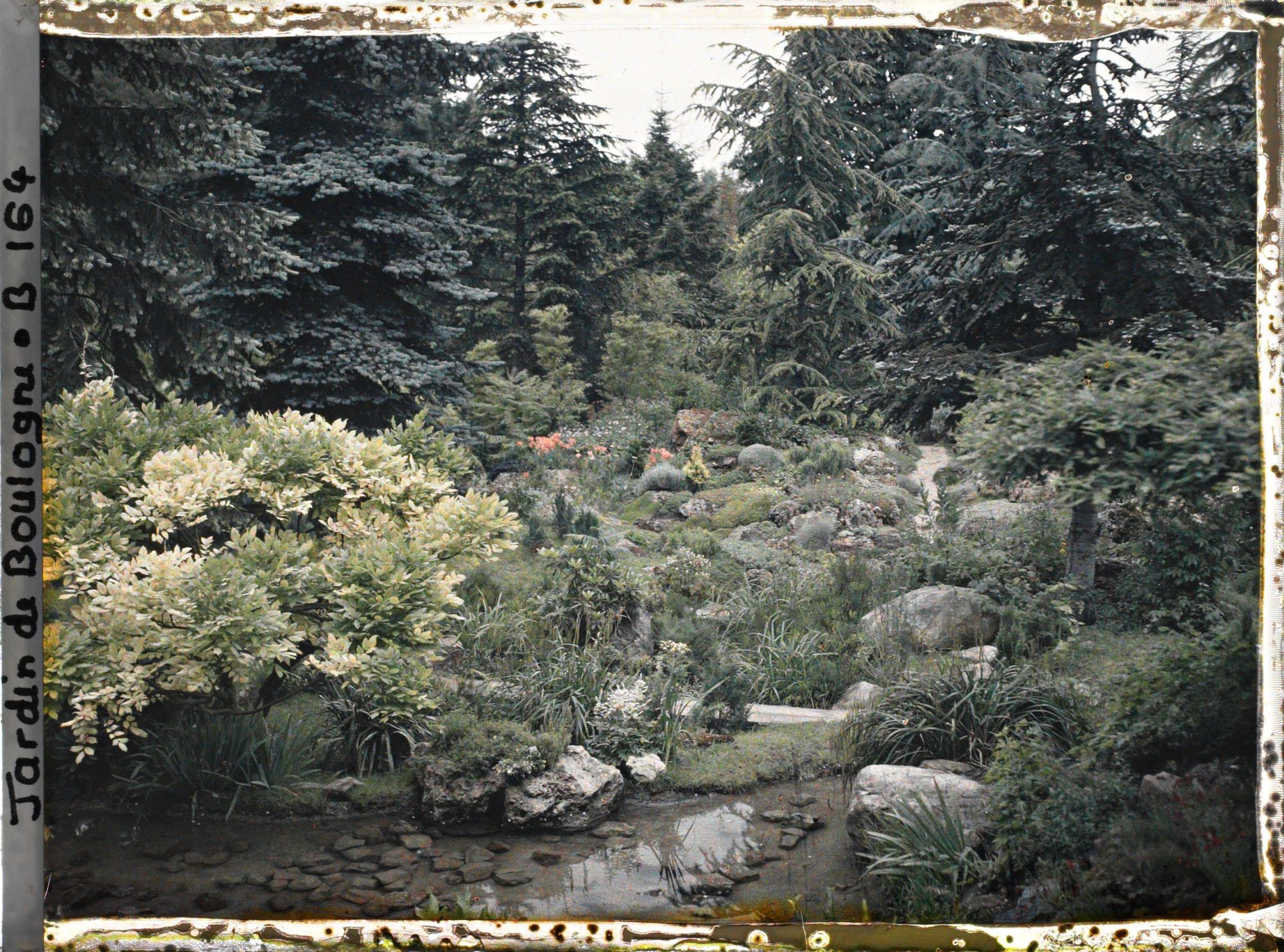 Image représentant Glycine au bord de l'eau et butte fleurie du " sanctuaire japonais ", peu éloignée du temple shinto