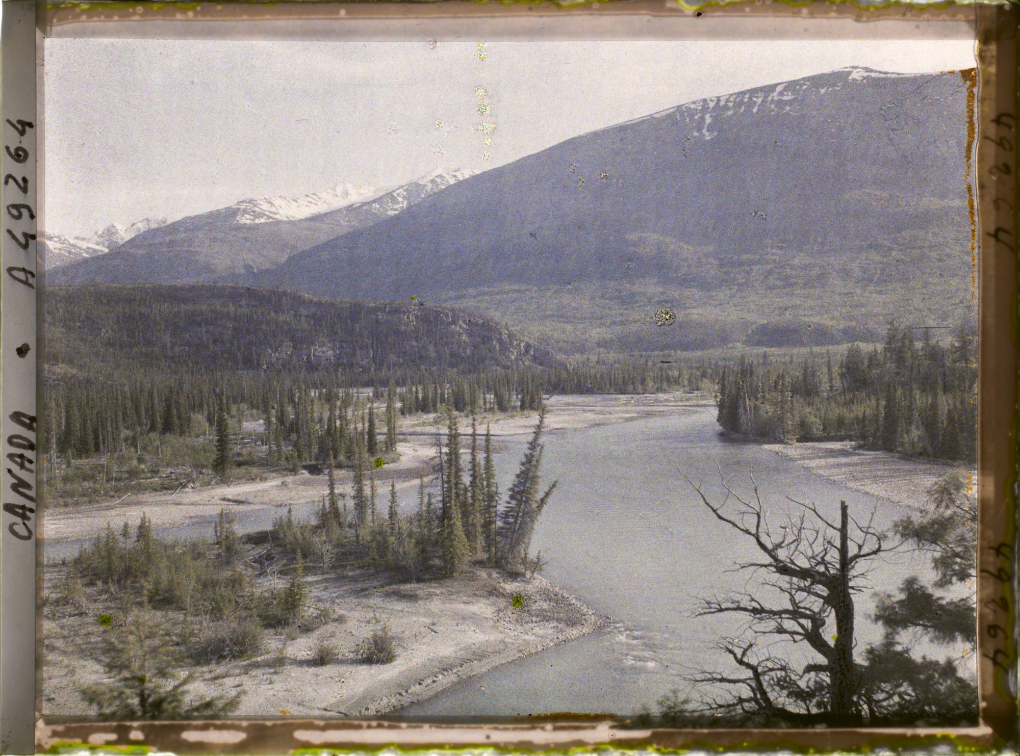 Image représentant Canada, Jasper-Parc, Vallée de l'Athabasca