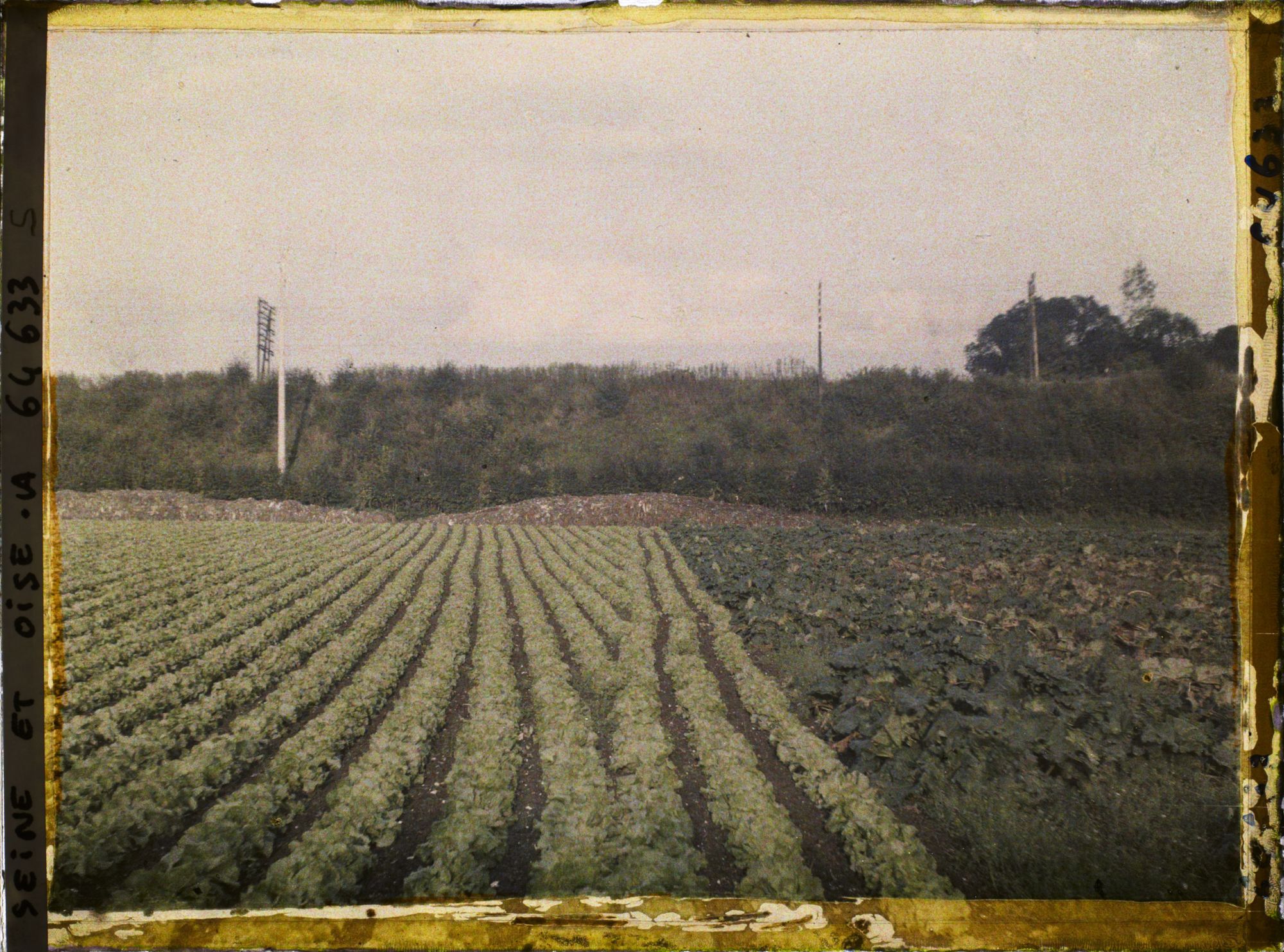 Image représentant Ile de France, Sarcelles St Brieuc, Cultures Diverses