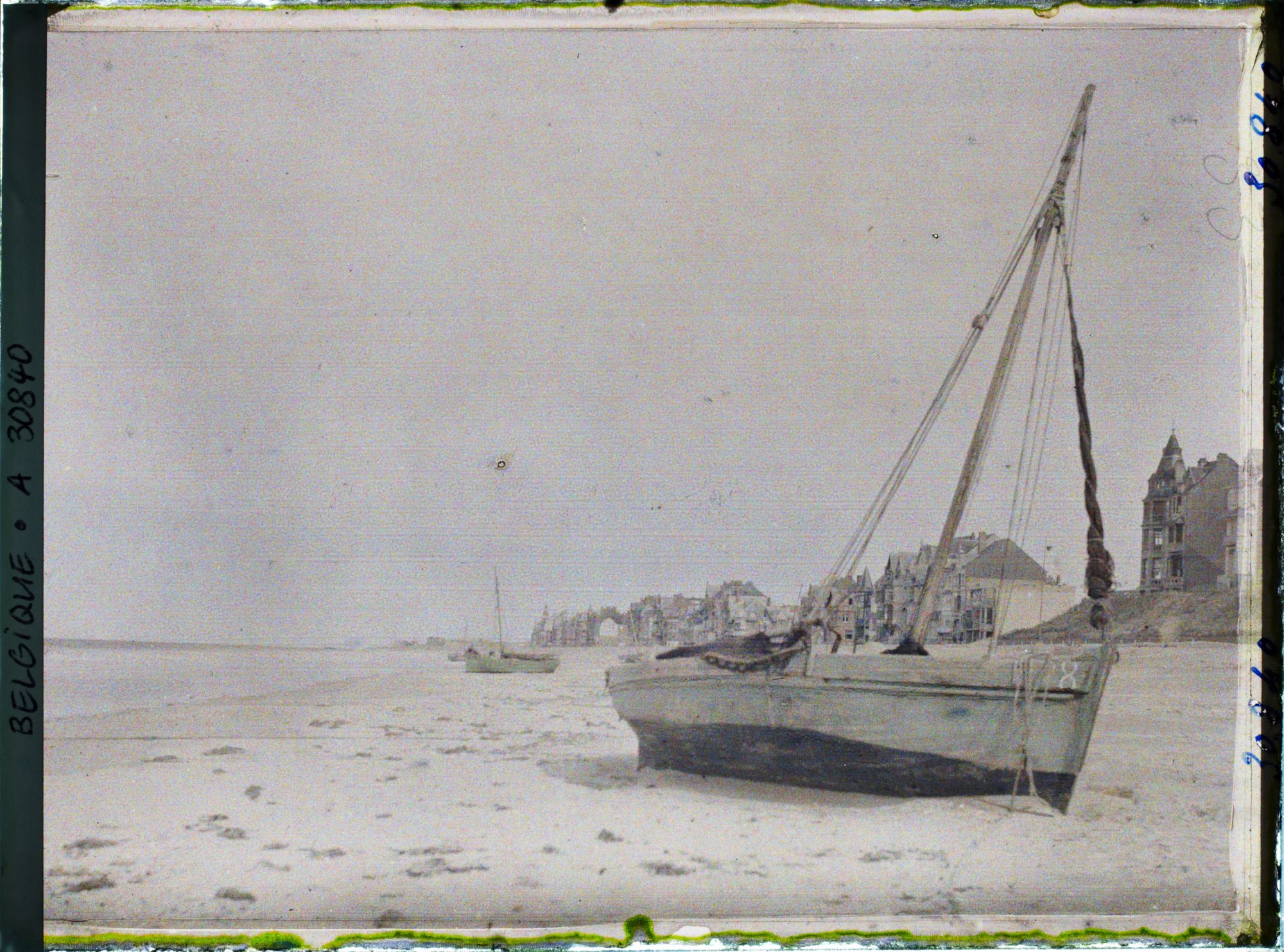 Image représentant Belgique, La Panne, Vue Générale de la digue et de la plage