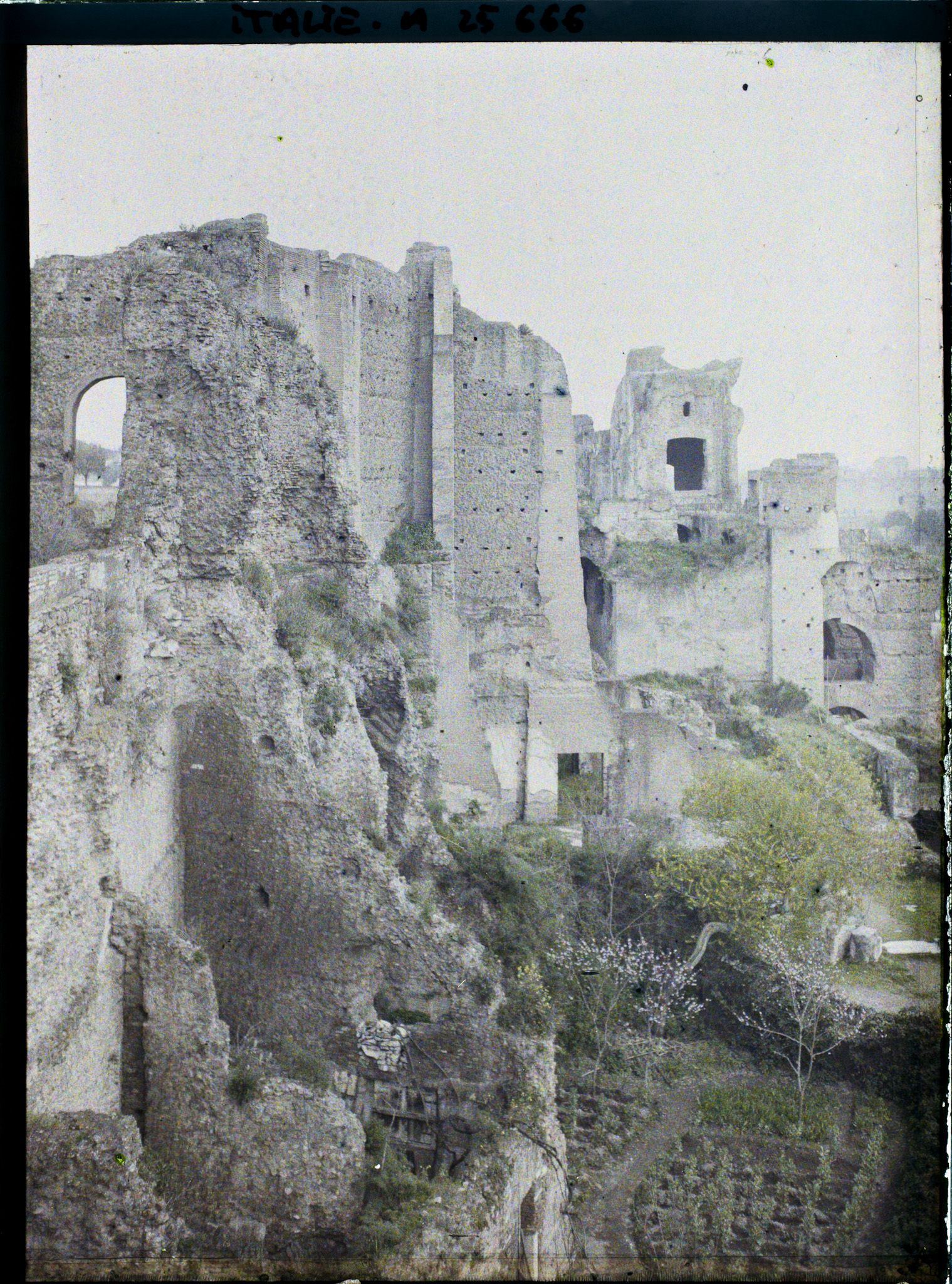 Image représentant Vue prise du Belvédère de la Villa Mills