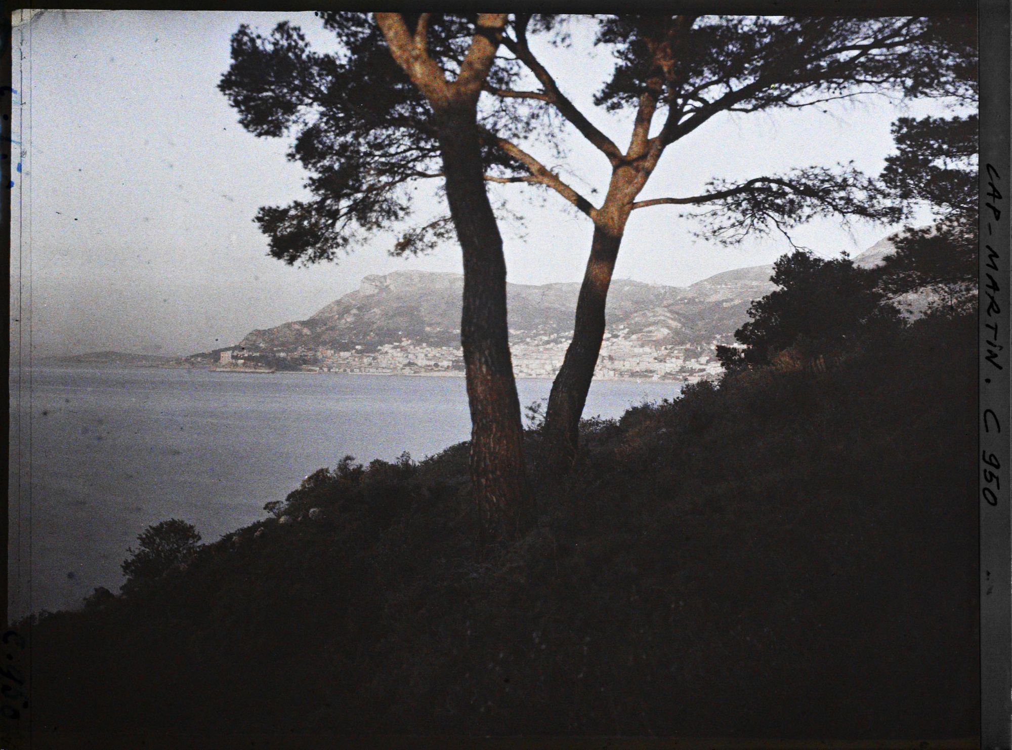 Image représentant Le Jardin Soleil levant vers Monaco