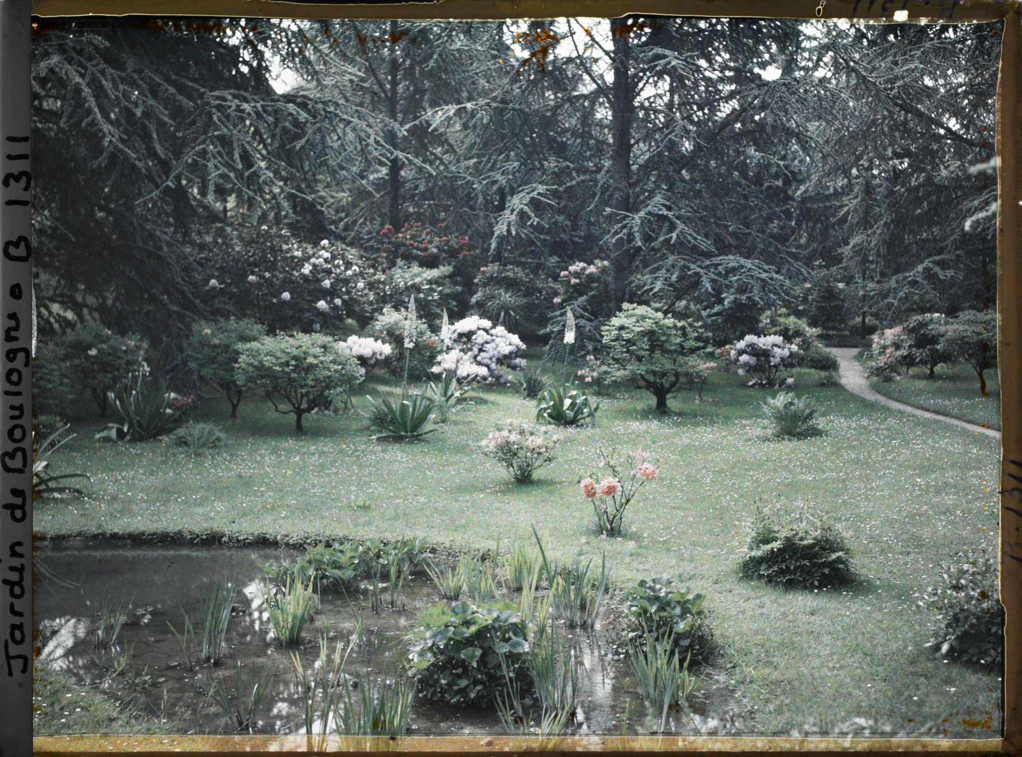 Image représentant Partie de bassin et son écrin fleuri, situés à l'est du marais