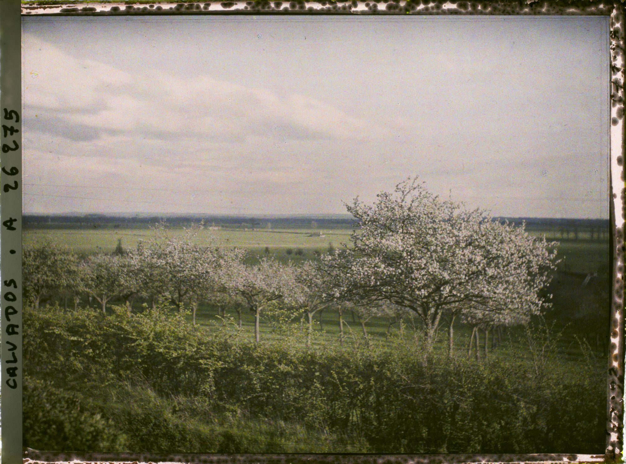 Image représentant La vallée d'Auge et les environs d'Hotot-en-Auge