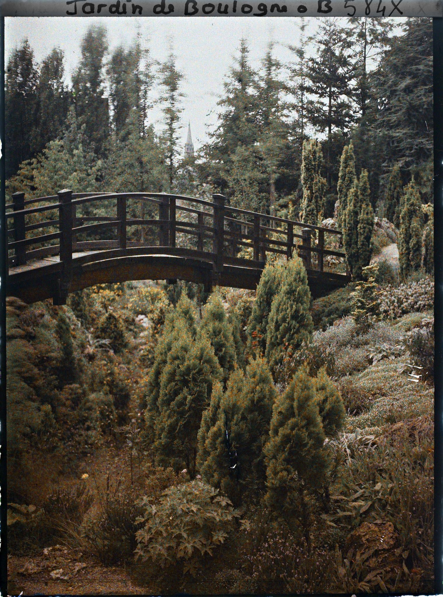 Image représentant Conifères dans un vallon rocailleux du " sanctuaire japonais " enjambé par un pont proche du sôrintô