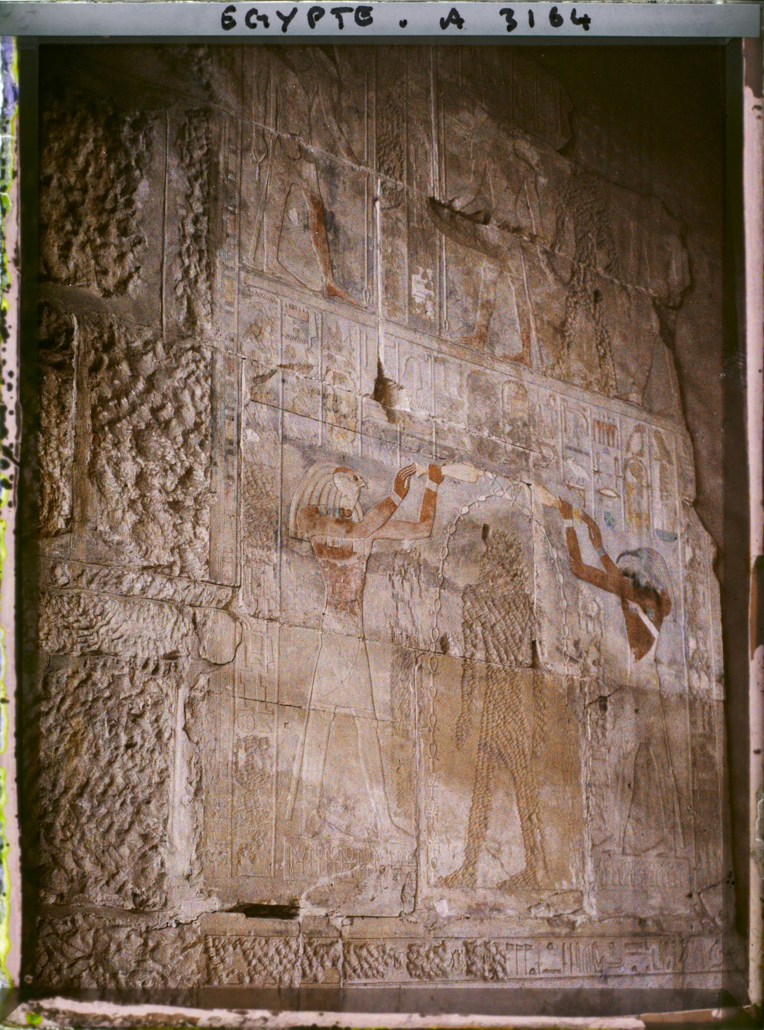 Image représentant Peintures dans la chambre de la Reine Hatchepsout