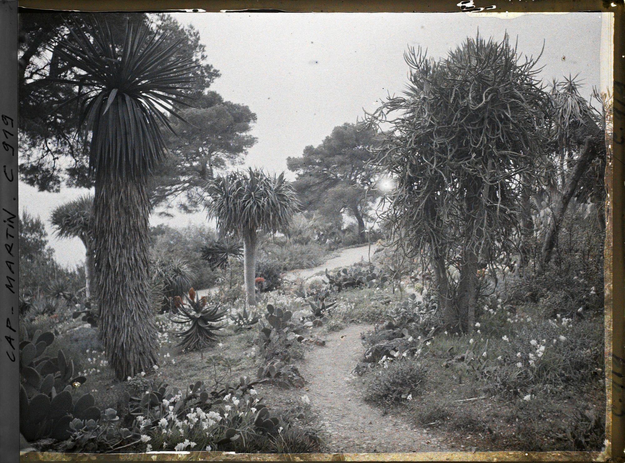 Image représentant Le Jardin