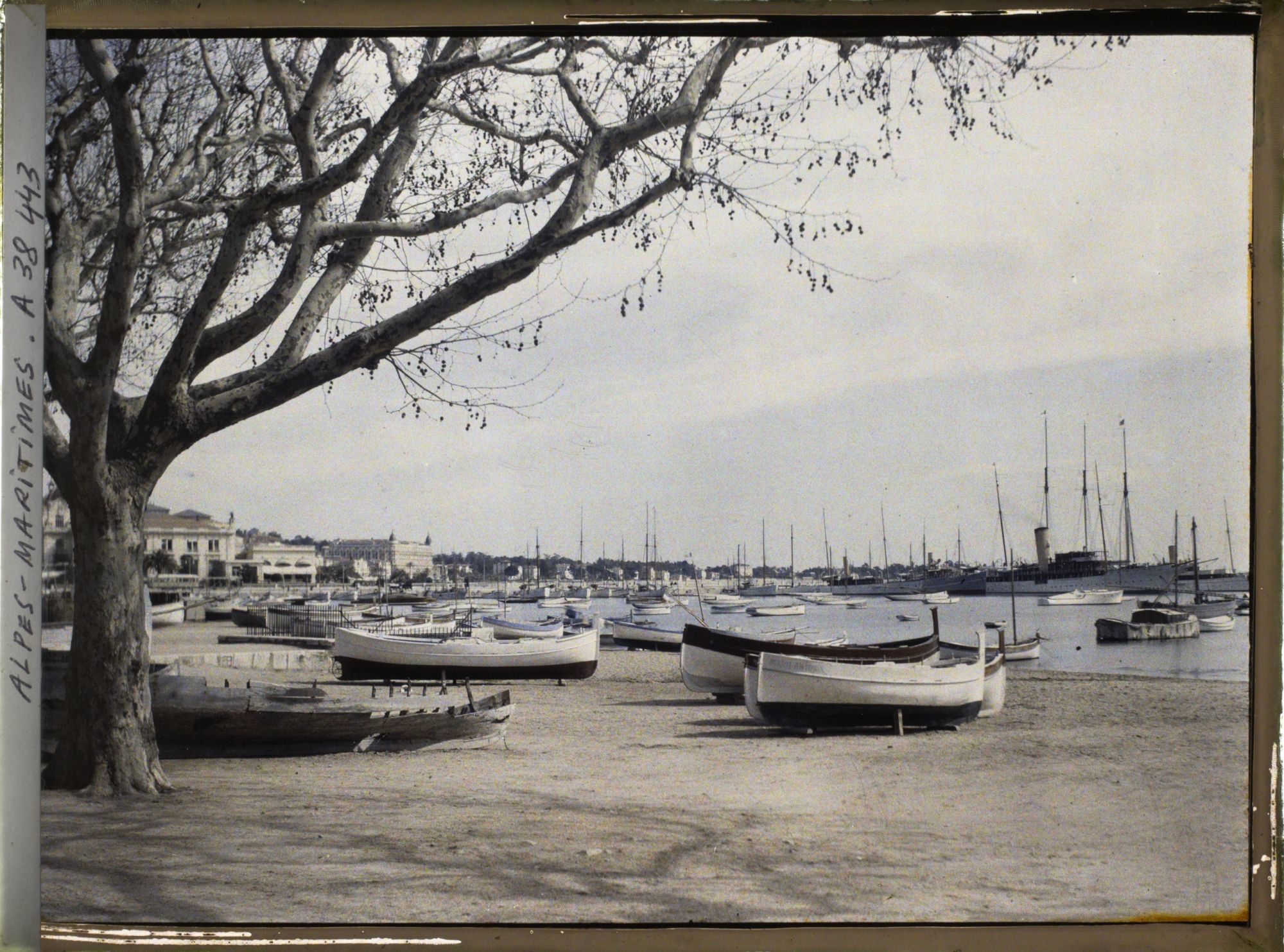 Image représentant Les barques dans le port