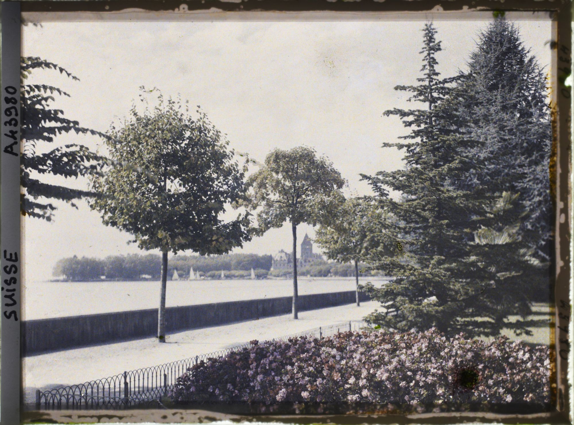Image représentant Le château d'Ouchy et le Léman vus du quai de Belgique