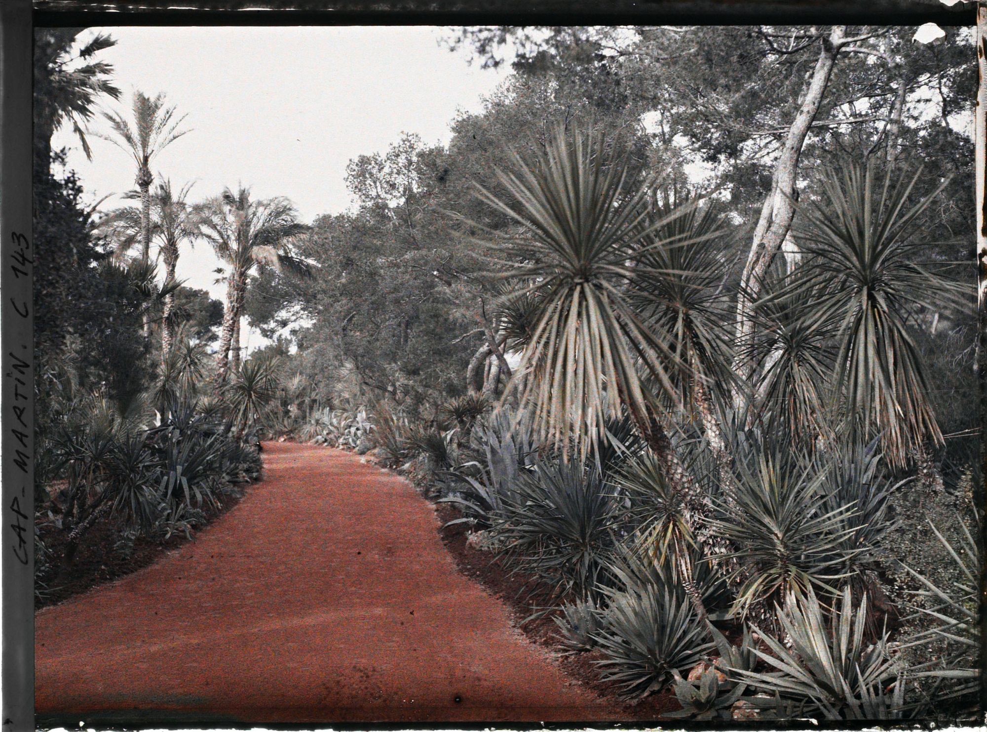 Image représentant Cap Martin - Le Jardin