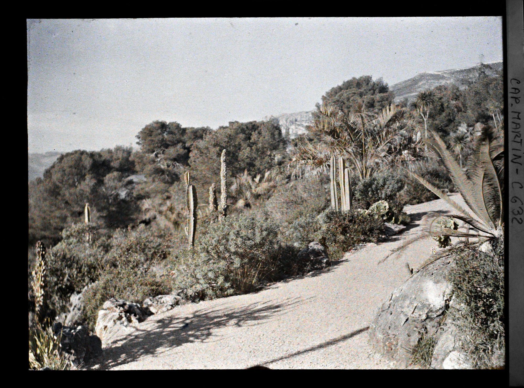 Image représentant Partie basse du jardin vers les rochers