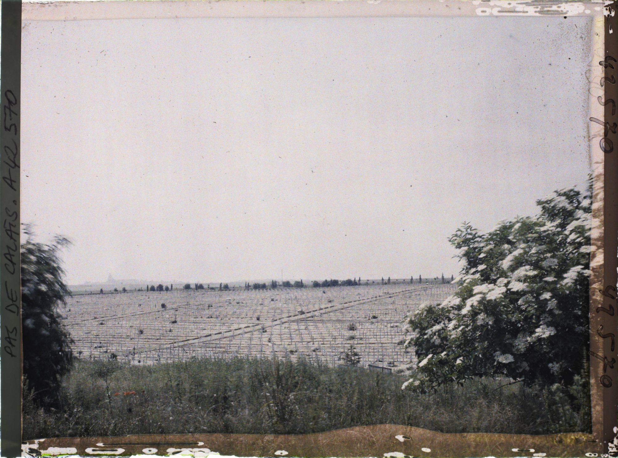 Image représentant France, Ablain-St Nazaire, Vue d'ensemble du Cimetière de la Targette