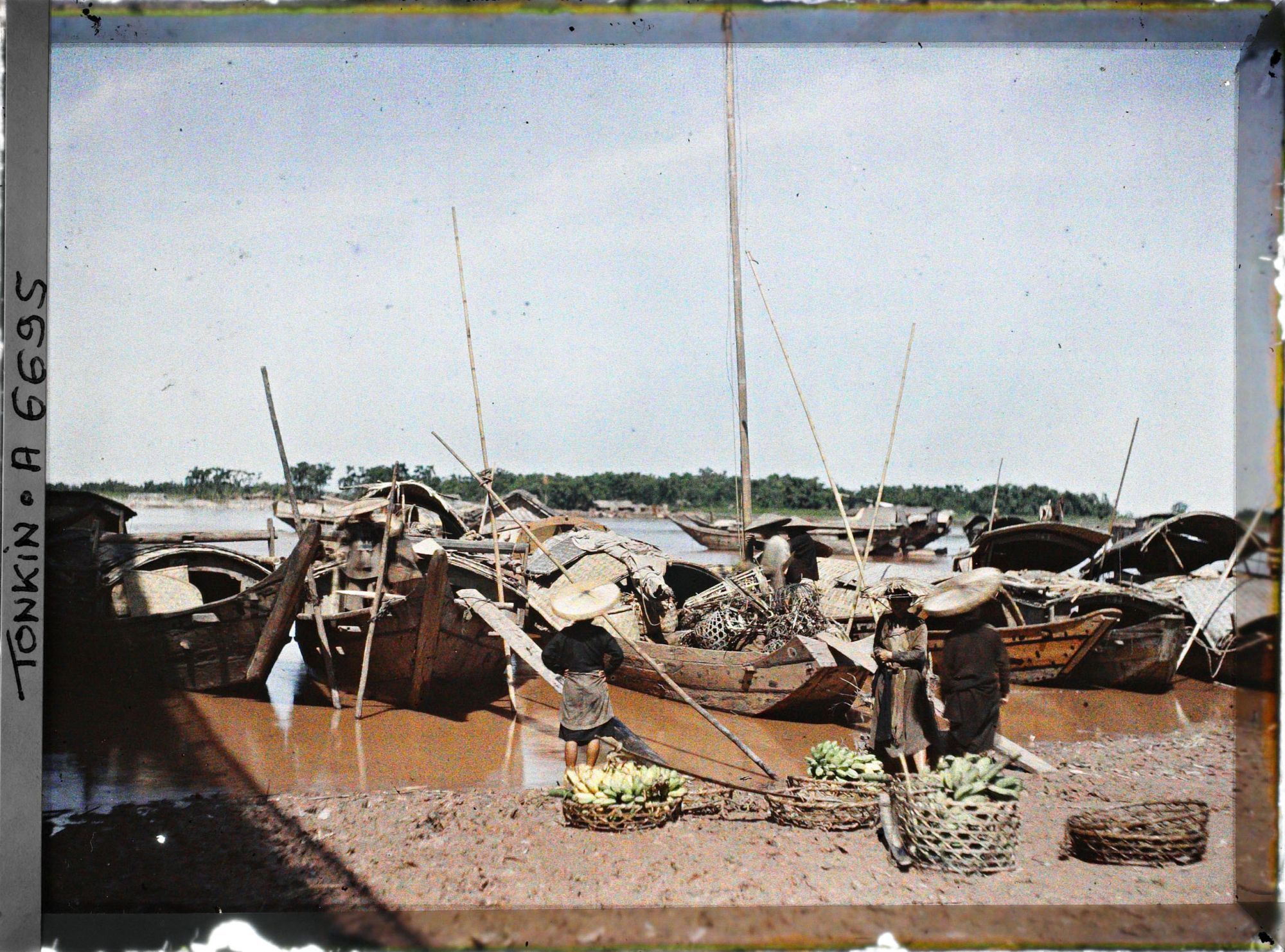 Image représentant Le transport des bananes sur les sampans au bord du Fleuve Rouge