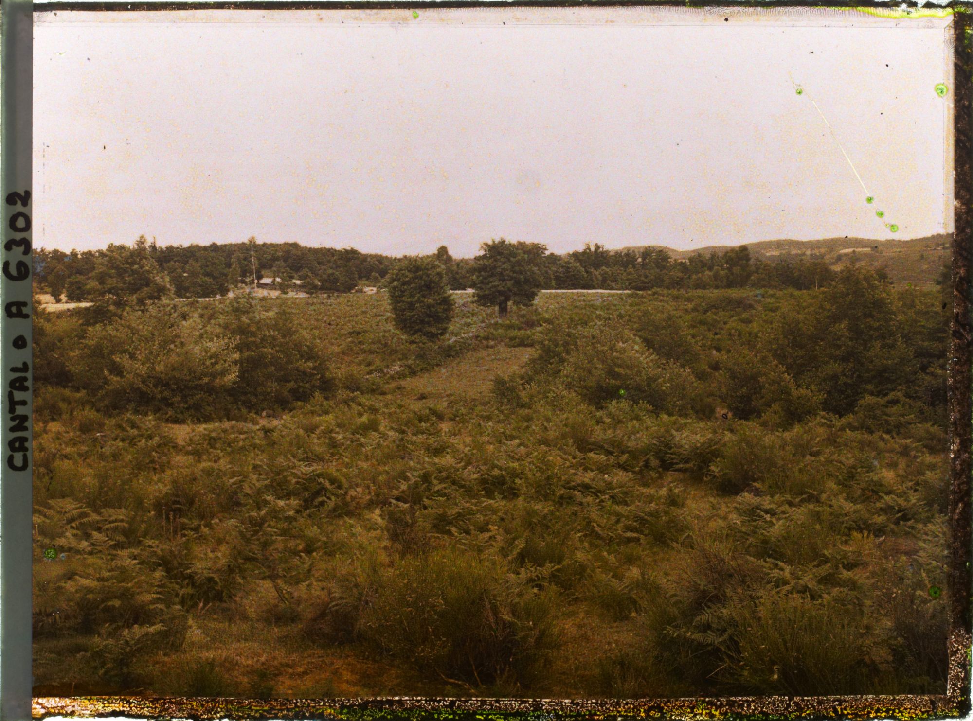 Image représentant La route près de Mauriac