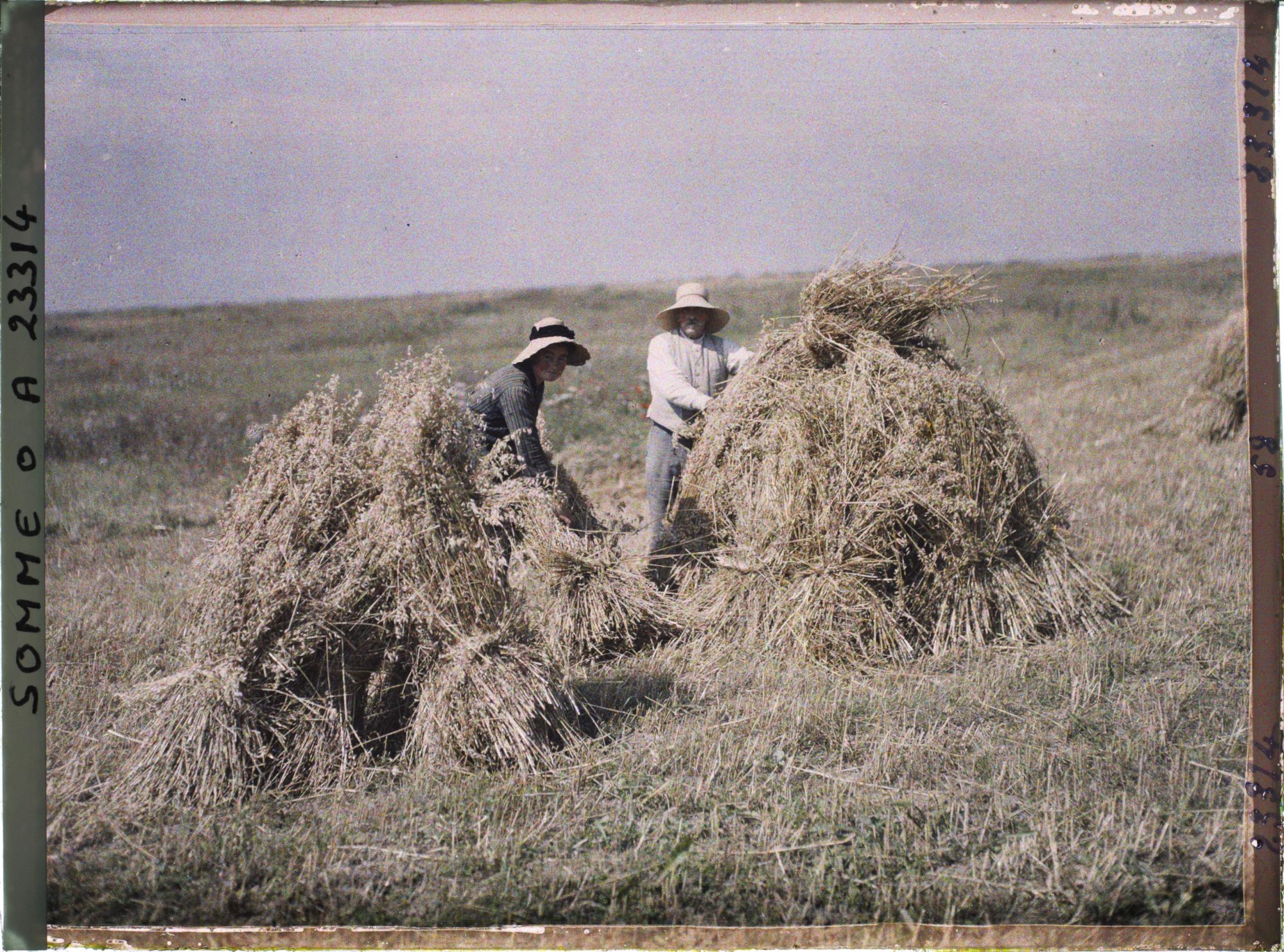 Image représentant France, Combles, La récolte de l'avoine