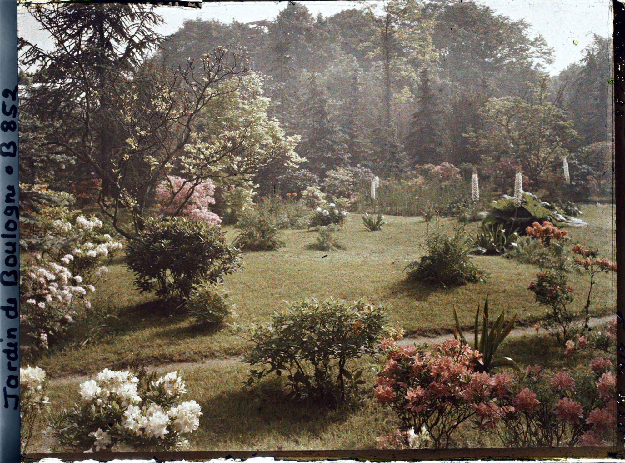 Image représentant Le marais