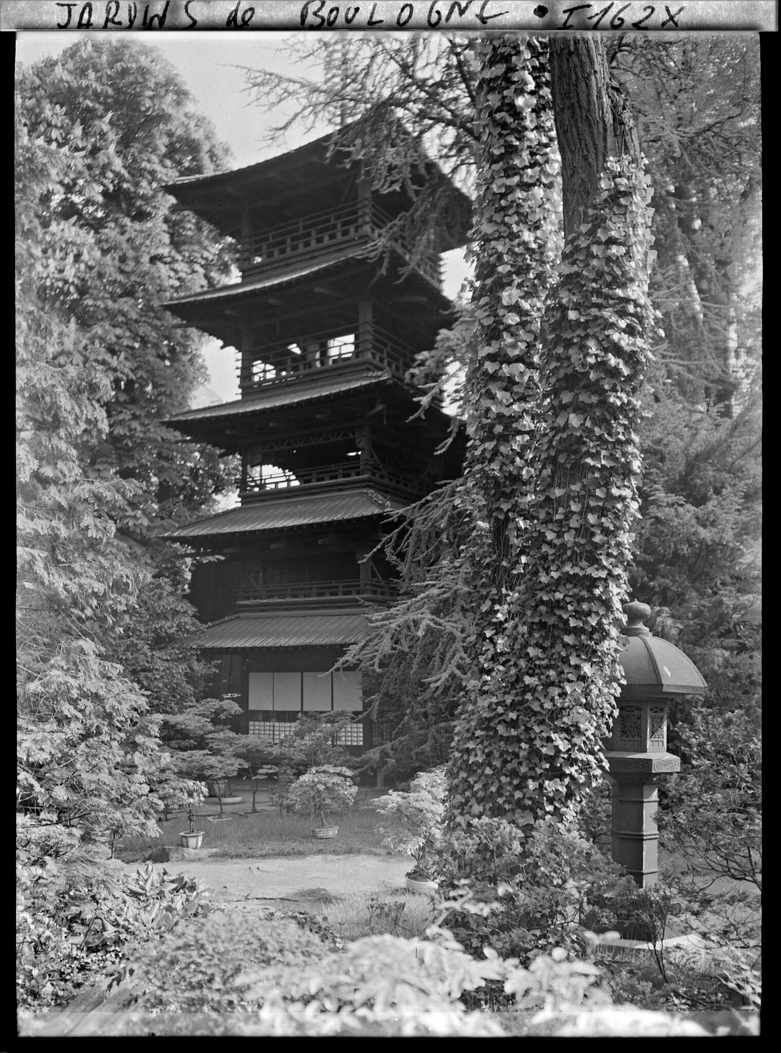 Image représentant Bonsaïs au pied de la pagode et lanterne du " village japonais " proches du jardin anglais