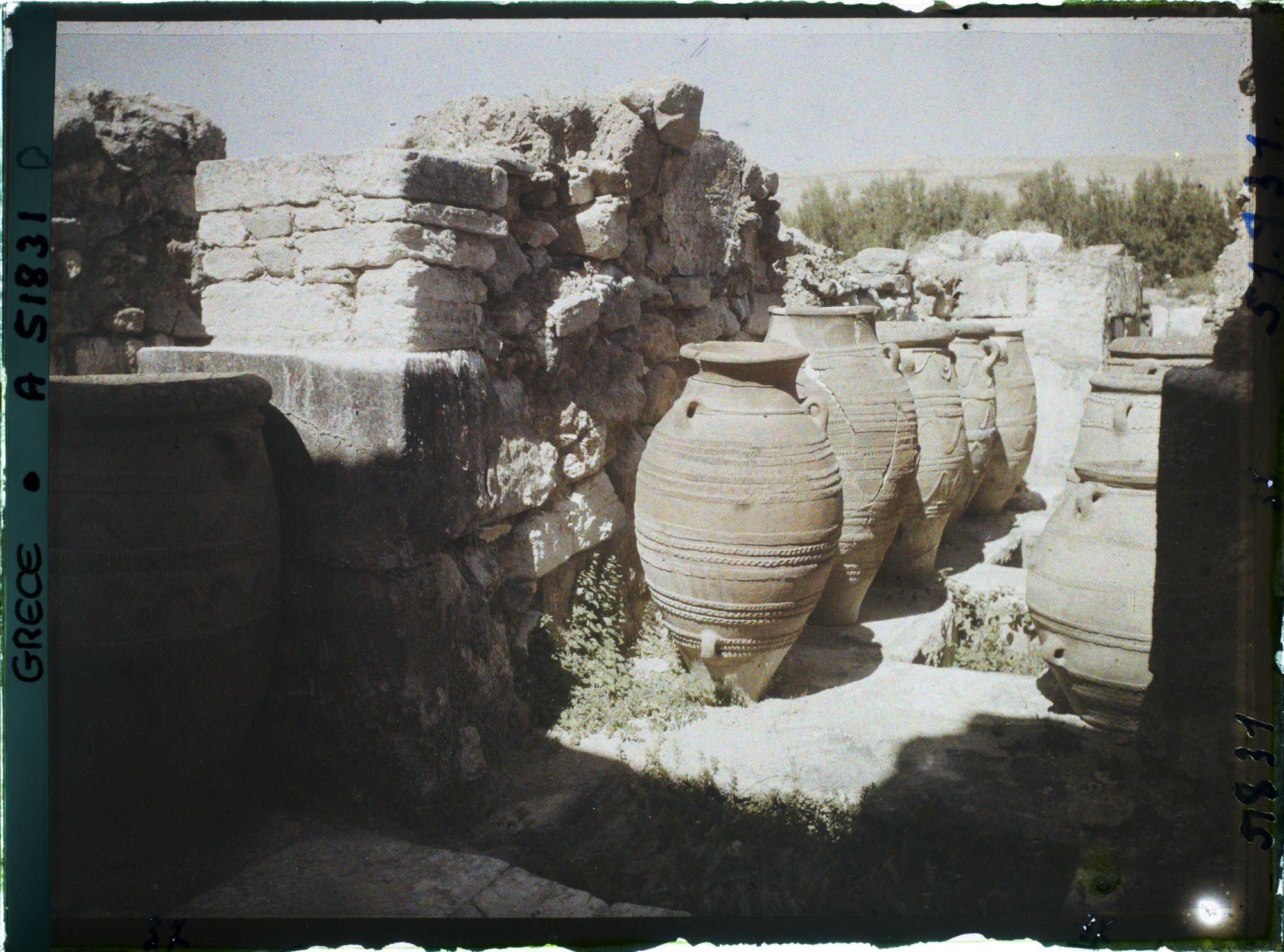 Image représentant Pithos (jarres) alignés dans l'un des magasins du Palais