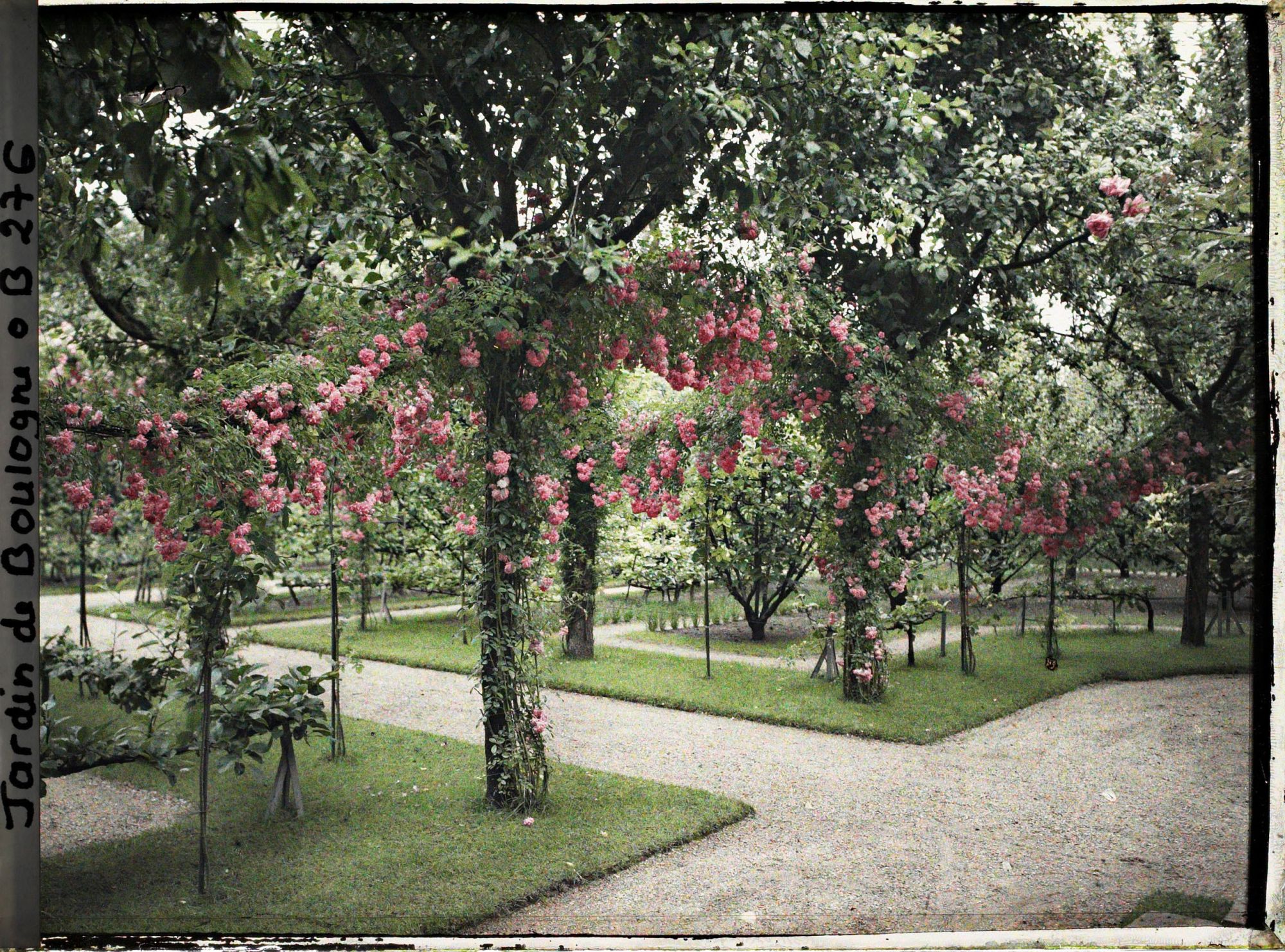 Image représentant Coin du verger-roseraie, situé au nord-ouest du rond-point proche du jardin français