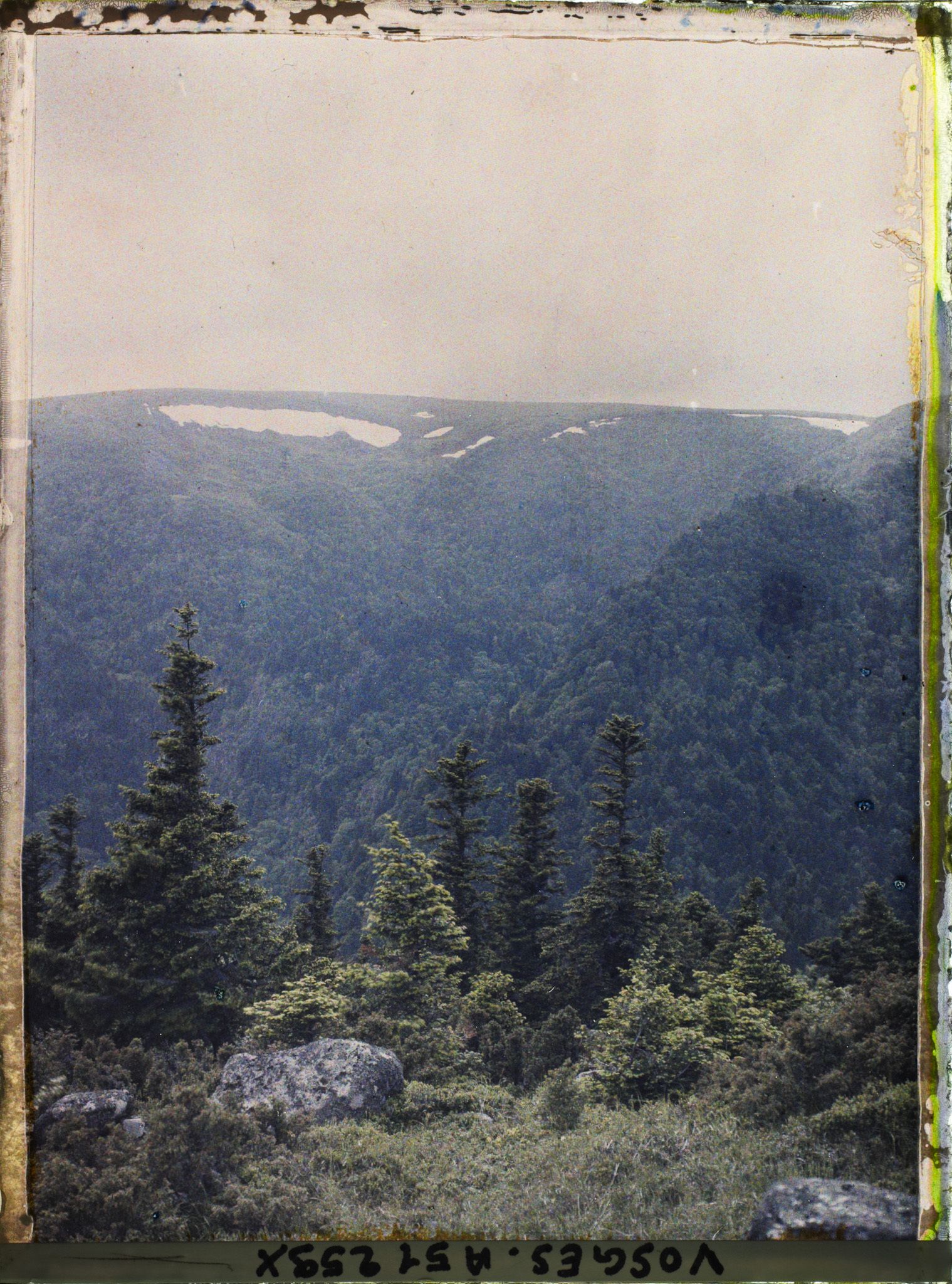 Image représentant Alsace, Houhneck, Ravin du Wormspelle vu des pentes Sud du petit Honhneck