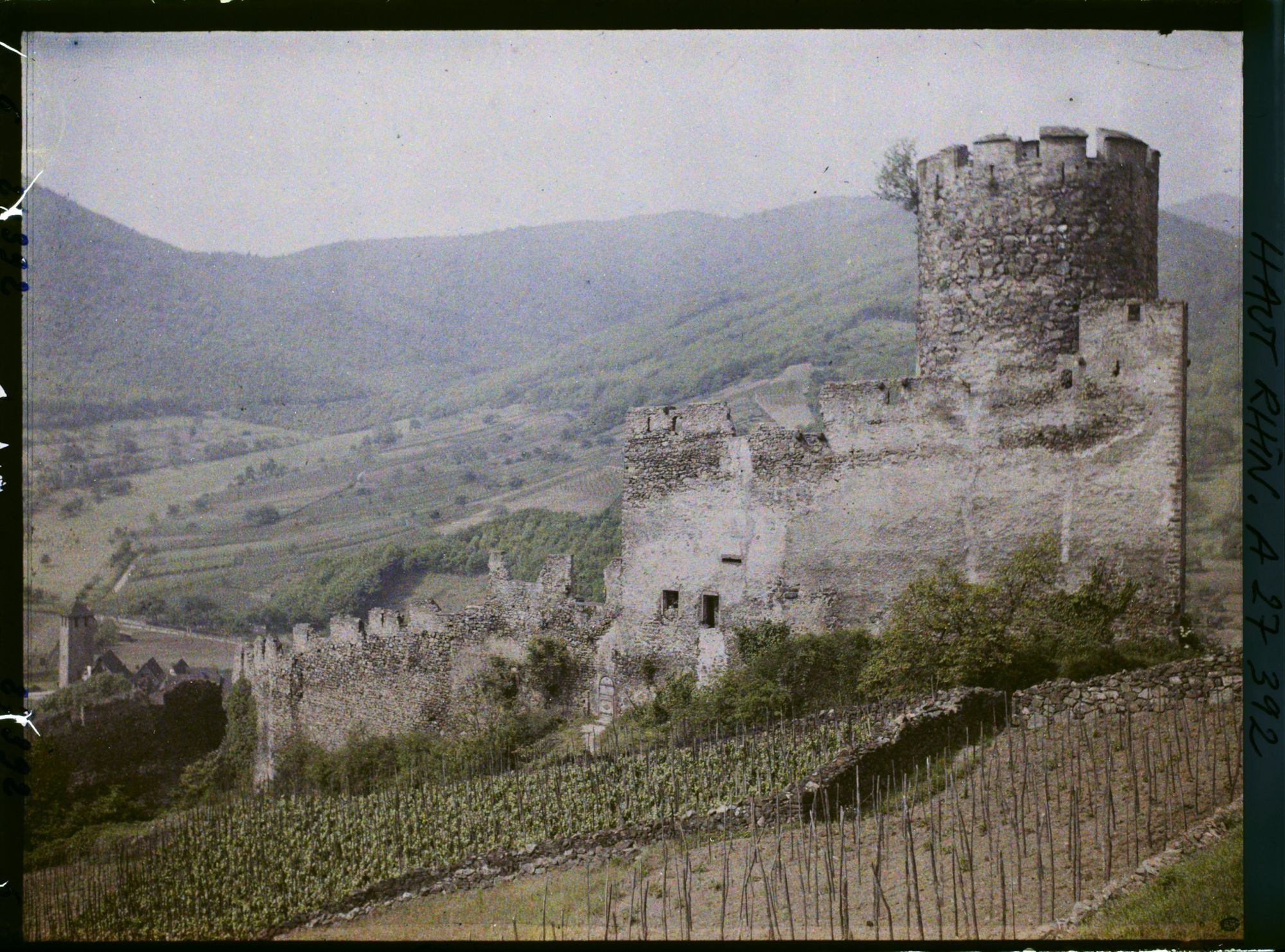 Image représentant France, Kaysersberg, Vue d'ensemble du Château