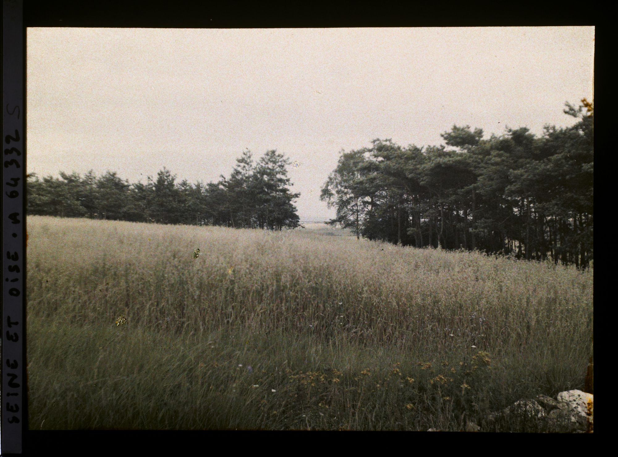 Image représentant Ile de France, Vallangoujard, Champ d'Avoine