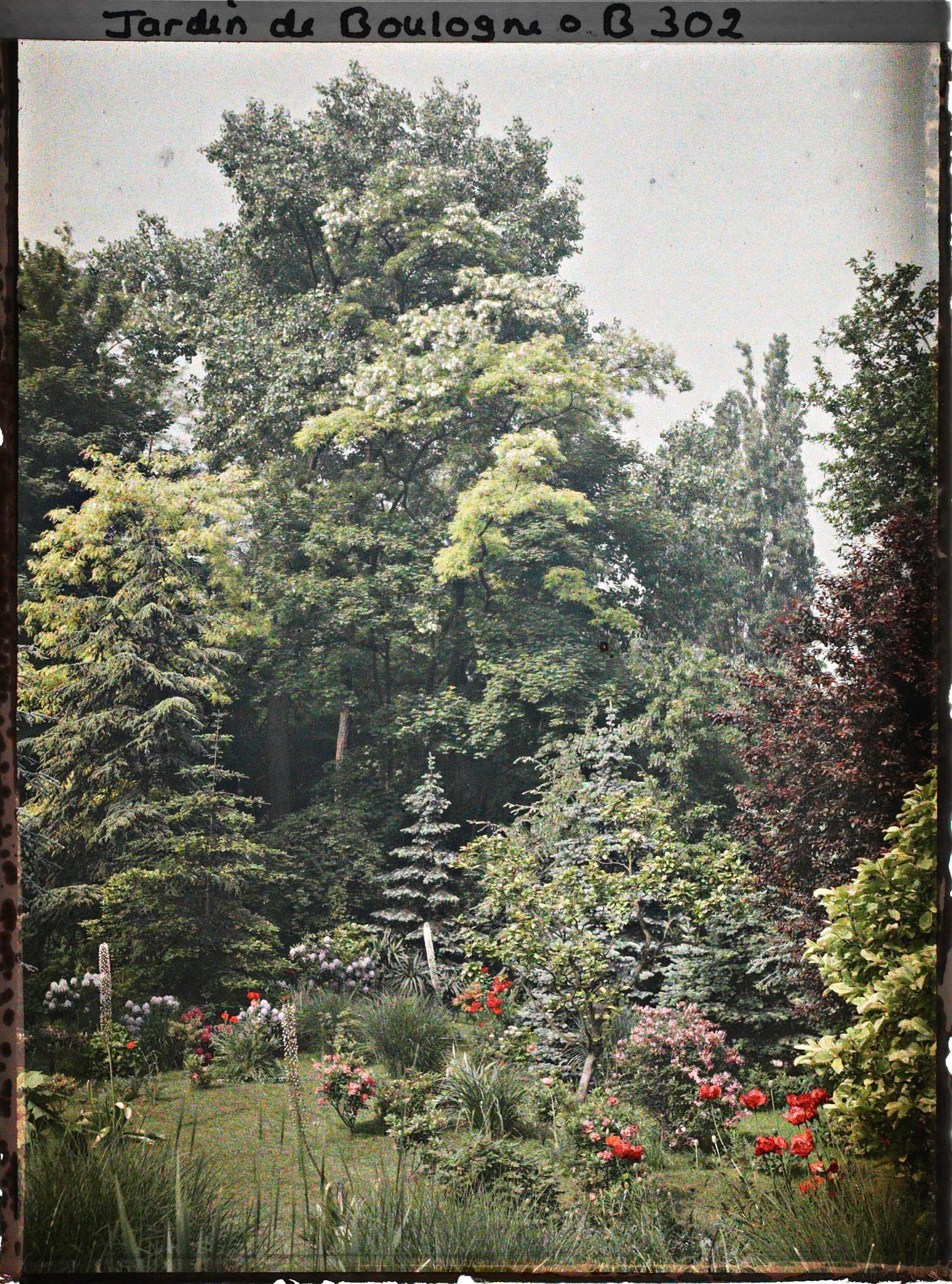 Image représentant Ensemble de feuillus dominant des plates-bandes fleuries et longeant l'est du marais
