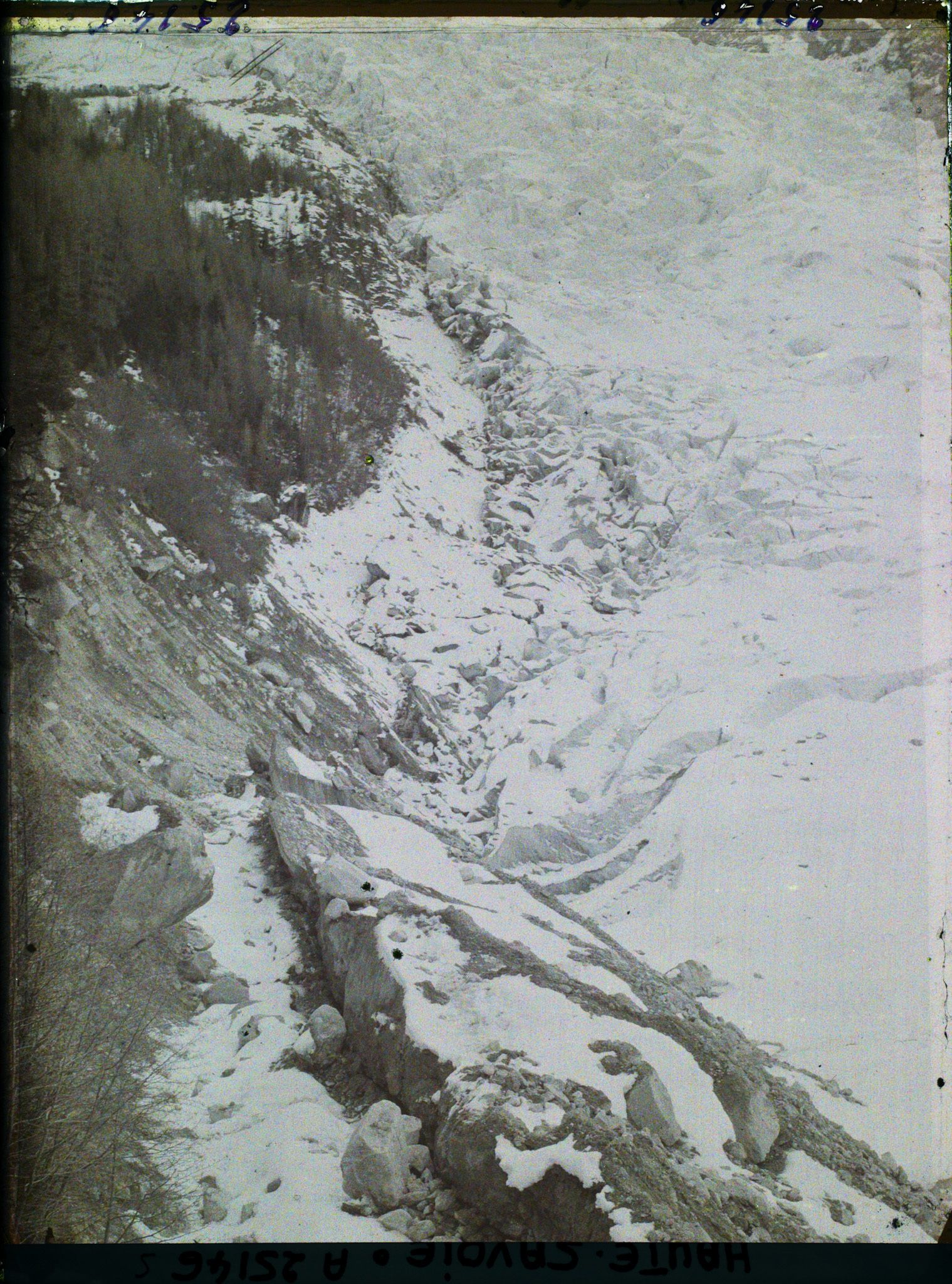 Image représentant France Les Alpes, Glacier des Bossons : La rive droite du glacier des Bossons vers le Glacier Supérieur