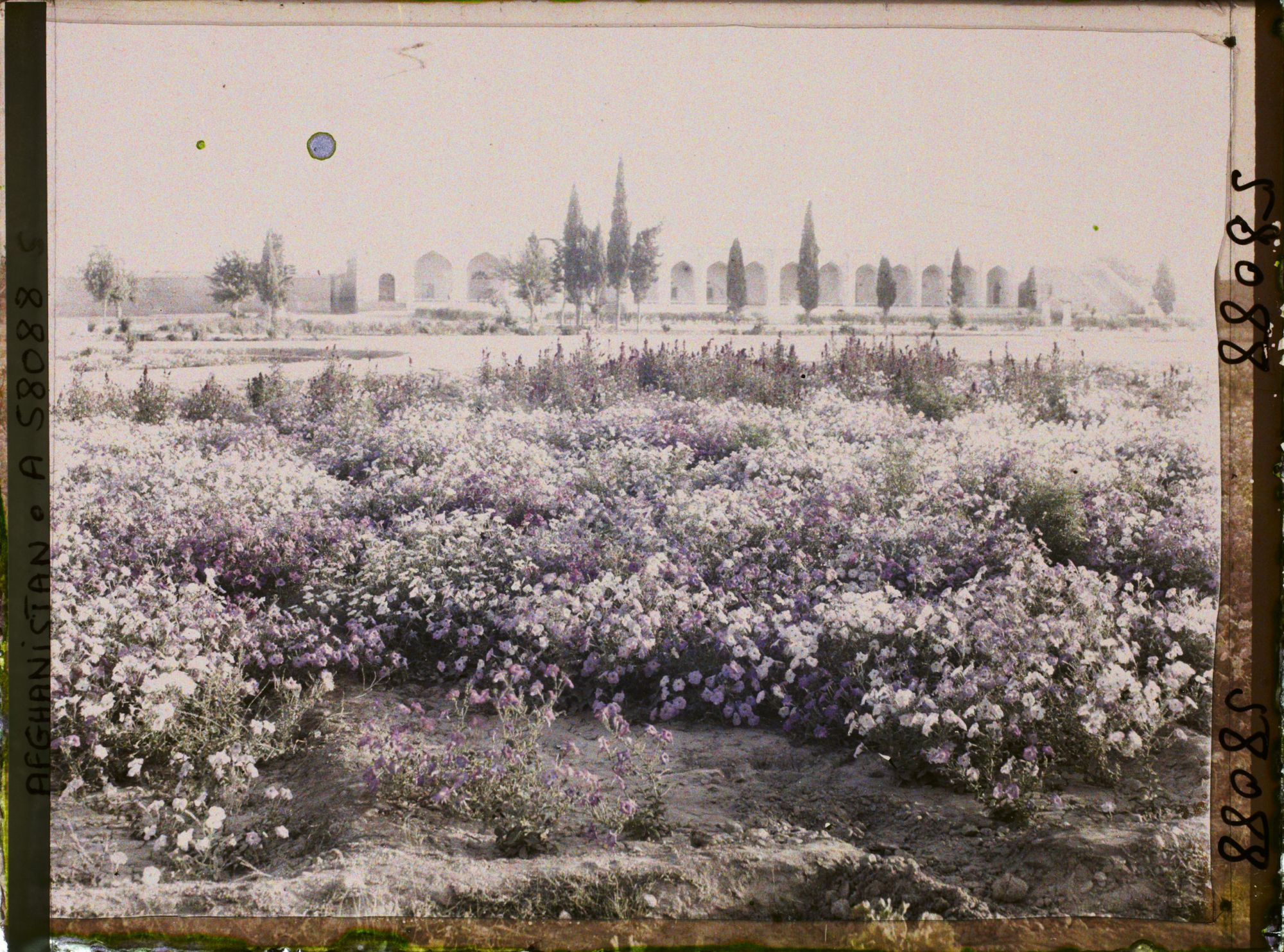 Image représentant Le jardin public et la façade du Palais des Gouverneurs