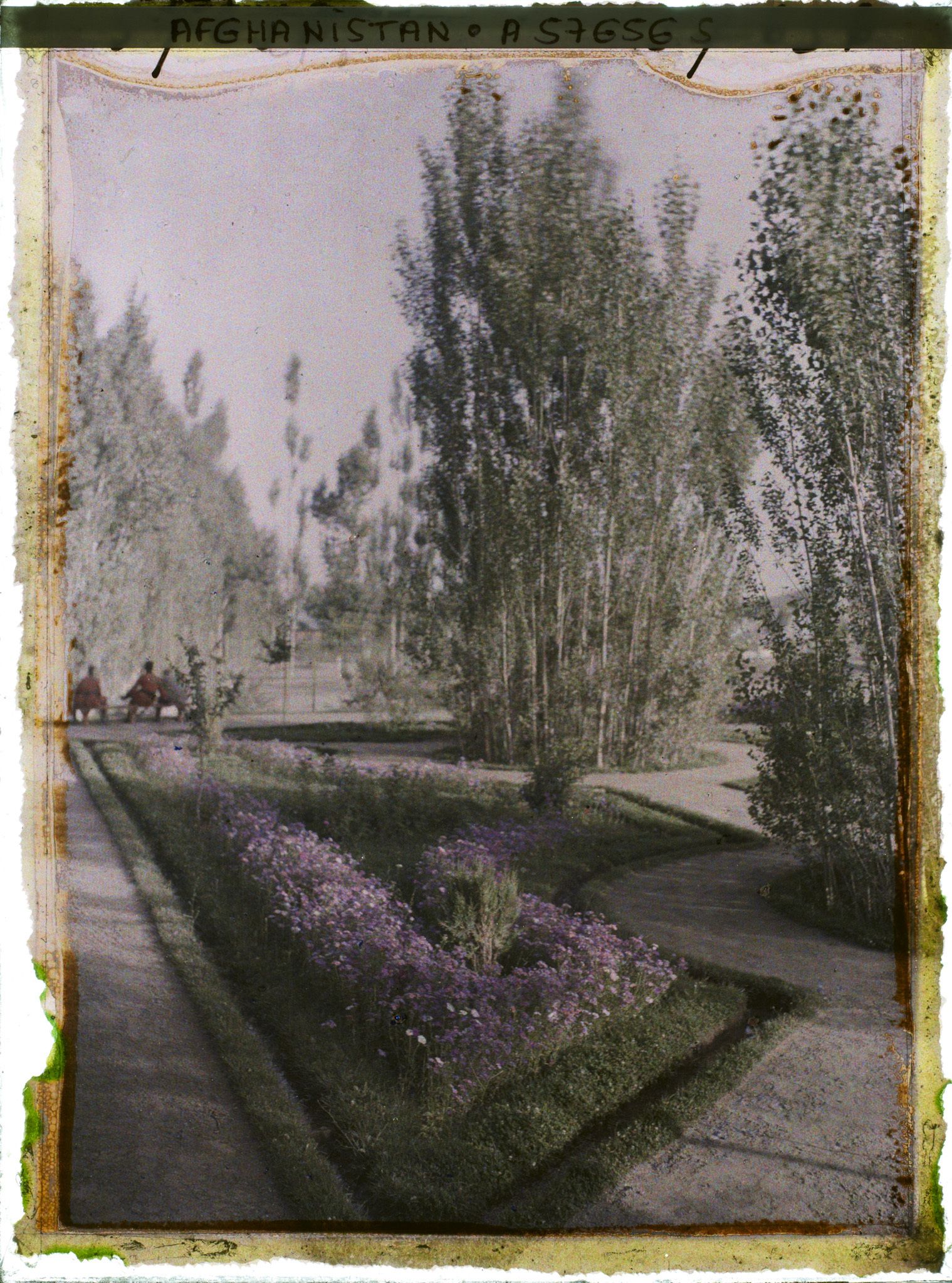 Image représentant Afghanistan, Paghman, Coin du Jardin Public