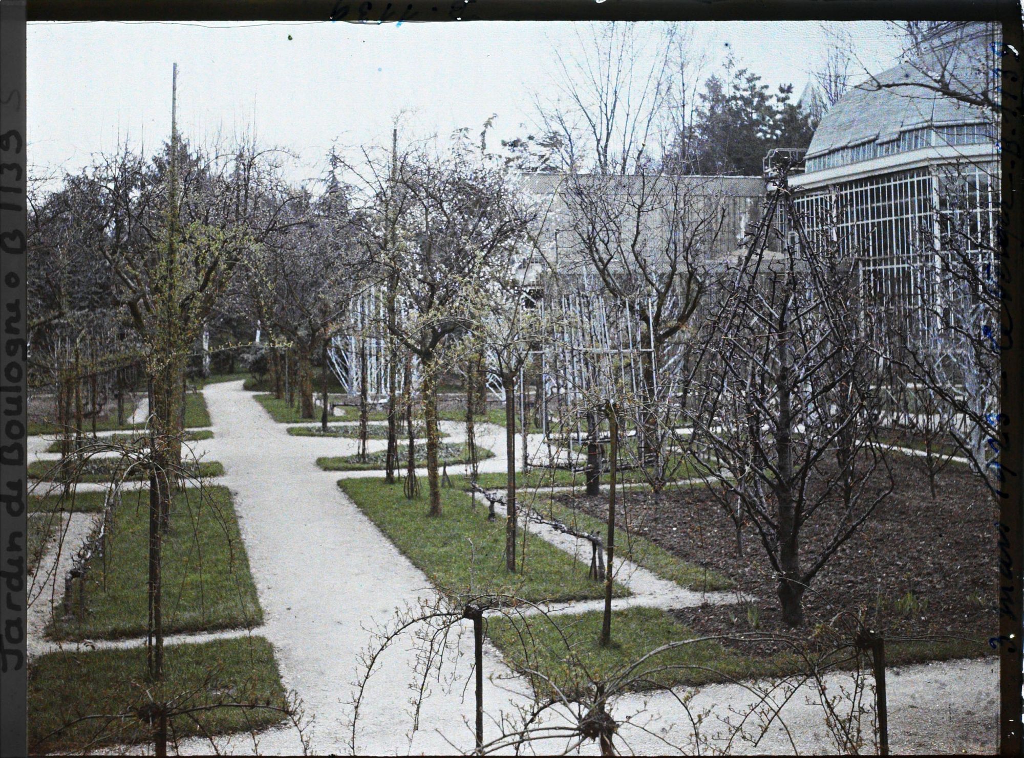 Image représentant Partie est du verger-roseraie en début de printemps, traversée par une allée menant à la forêt bleue