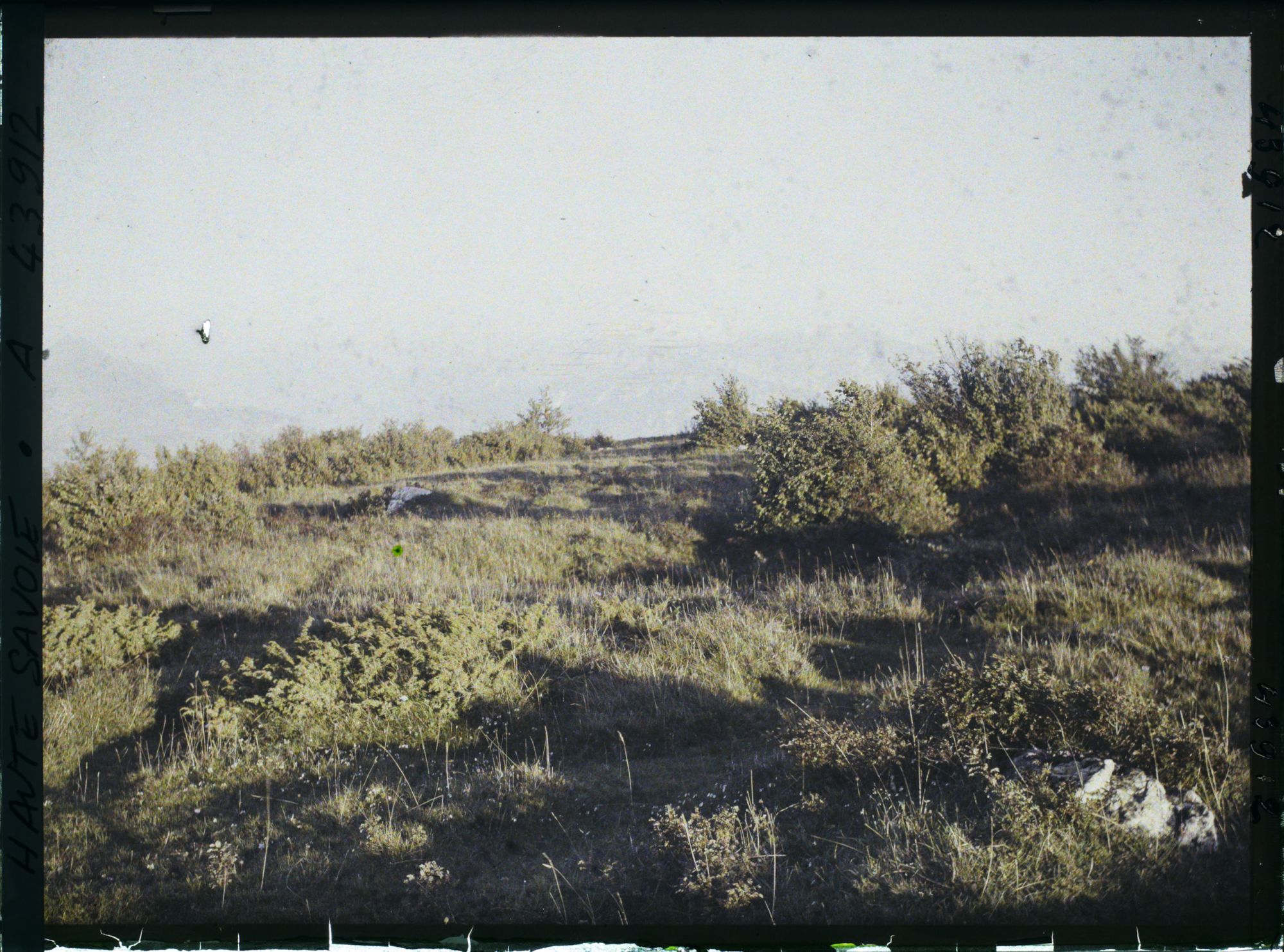 Image représentant France, Le Salève, Végétation s/ le Gd Salève (vue prise le soir)