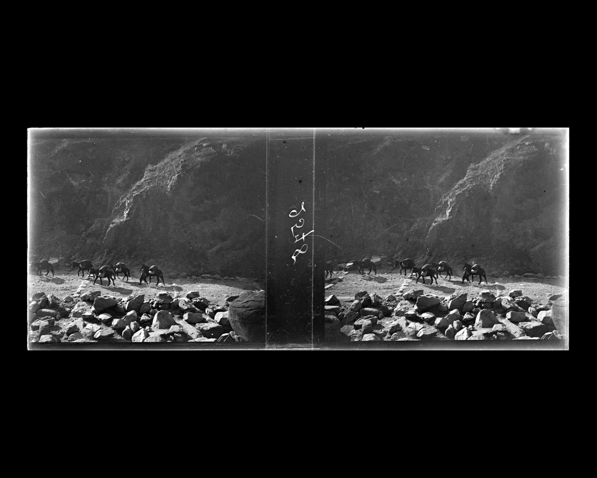 Image représentant Une caravane de mulets