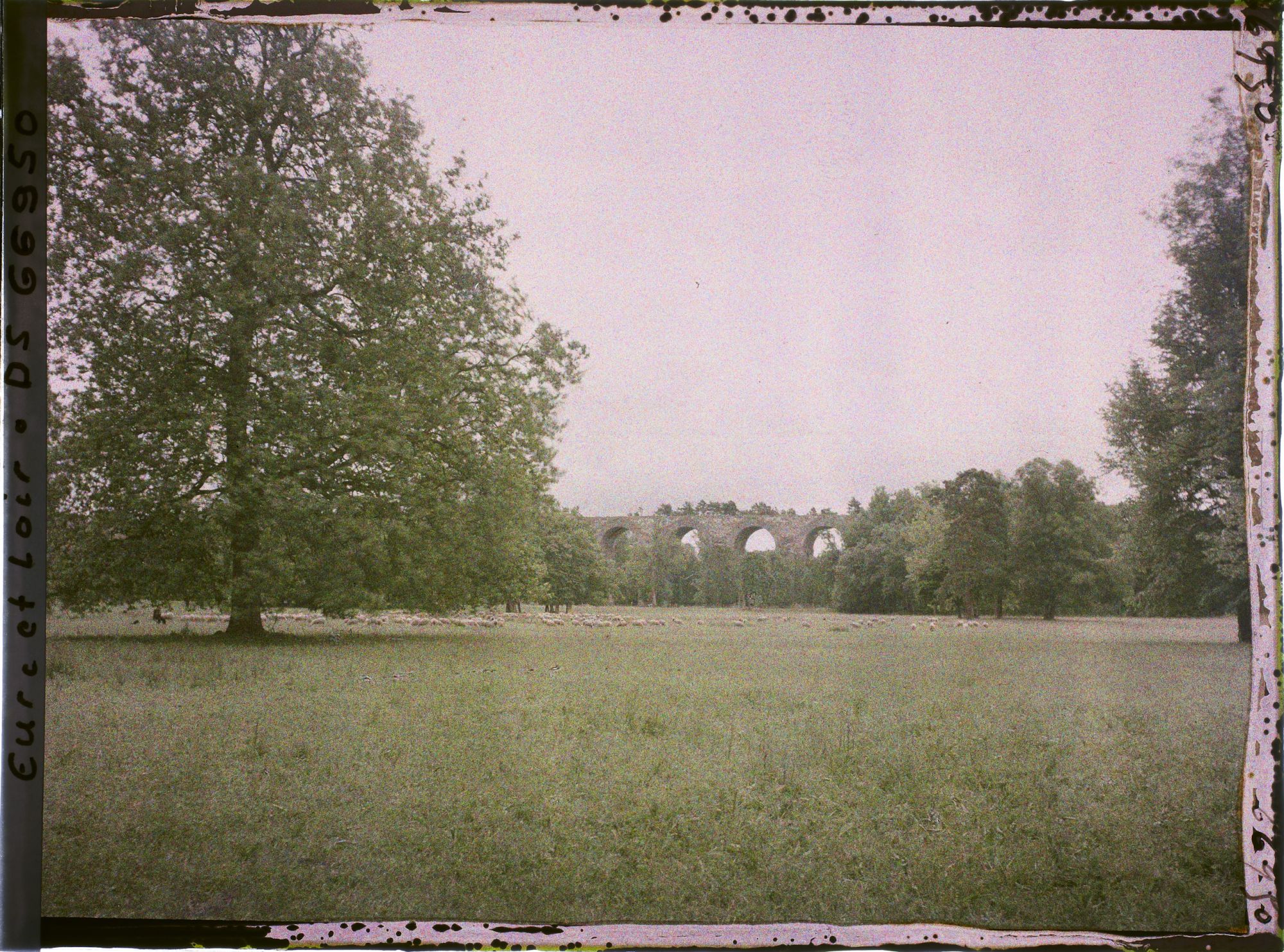 Image représentant La pelouse dans le parc du château, à l'arrière-plan l'aqueduc