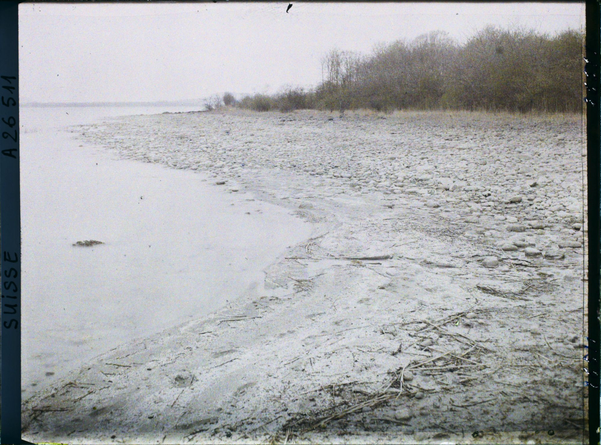 Image représentant Site palafittique préhistorique des Alpes, pieux en bois visibles lors de la baisse des eaux après la grande sécheresse de 1921