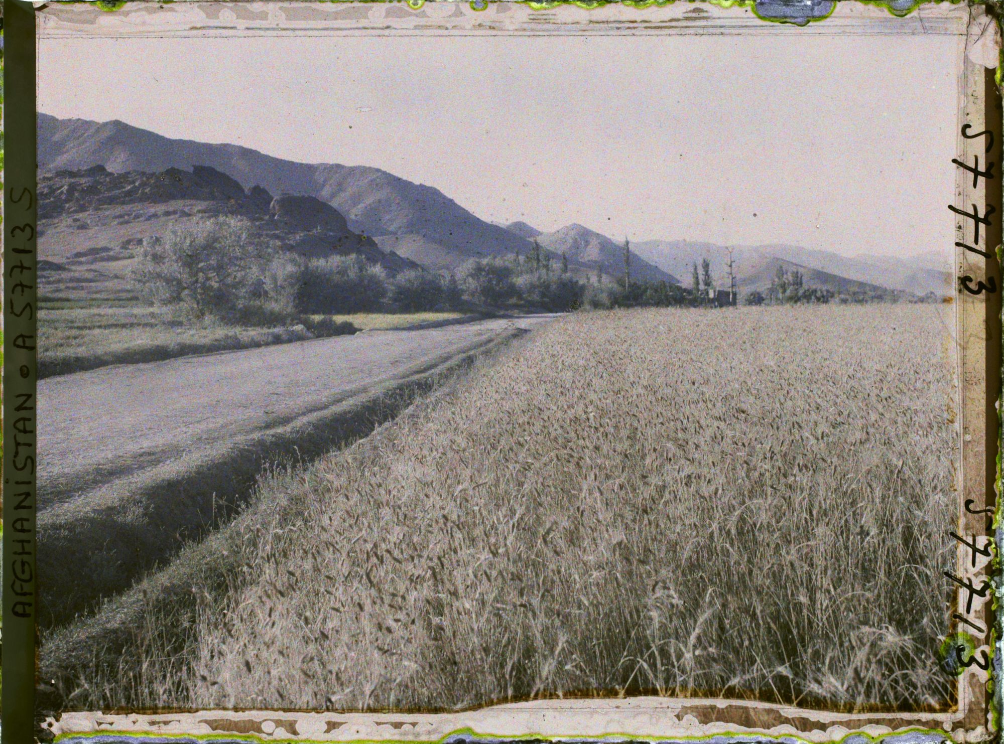 Image représentant Route et champ de blé