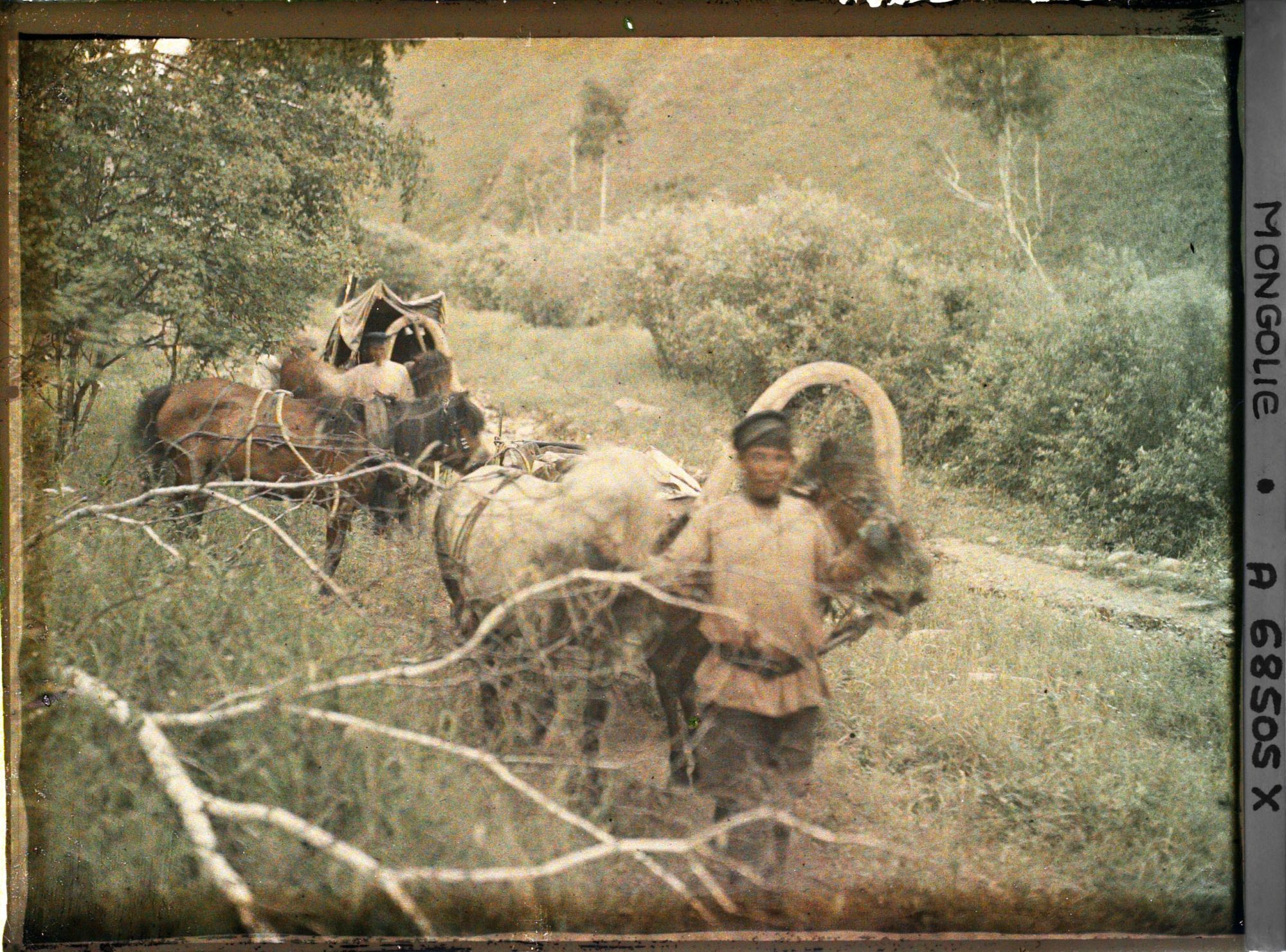 Image représentant Les deux voitures et les cochers de l'équipage de Stéphane Passet