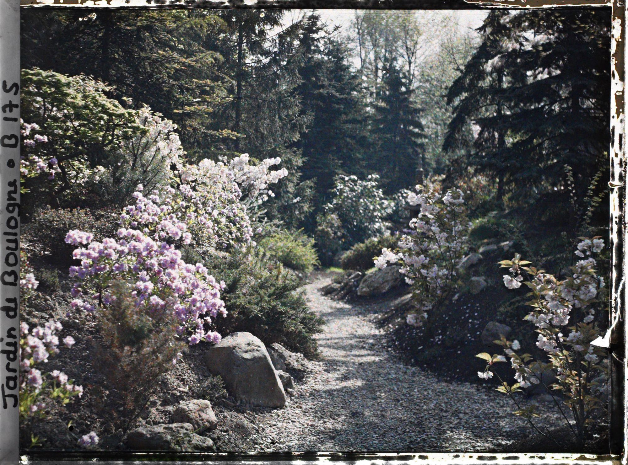 Image représentant Chemin fleuri du " village japonais ", longeant le jardin français en direction du jardin anglais